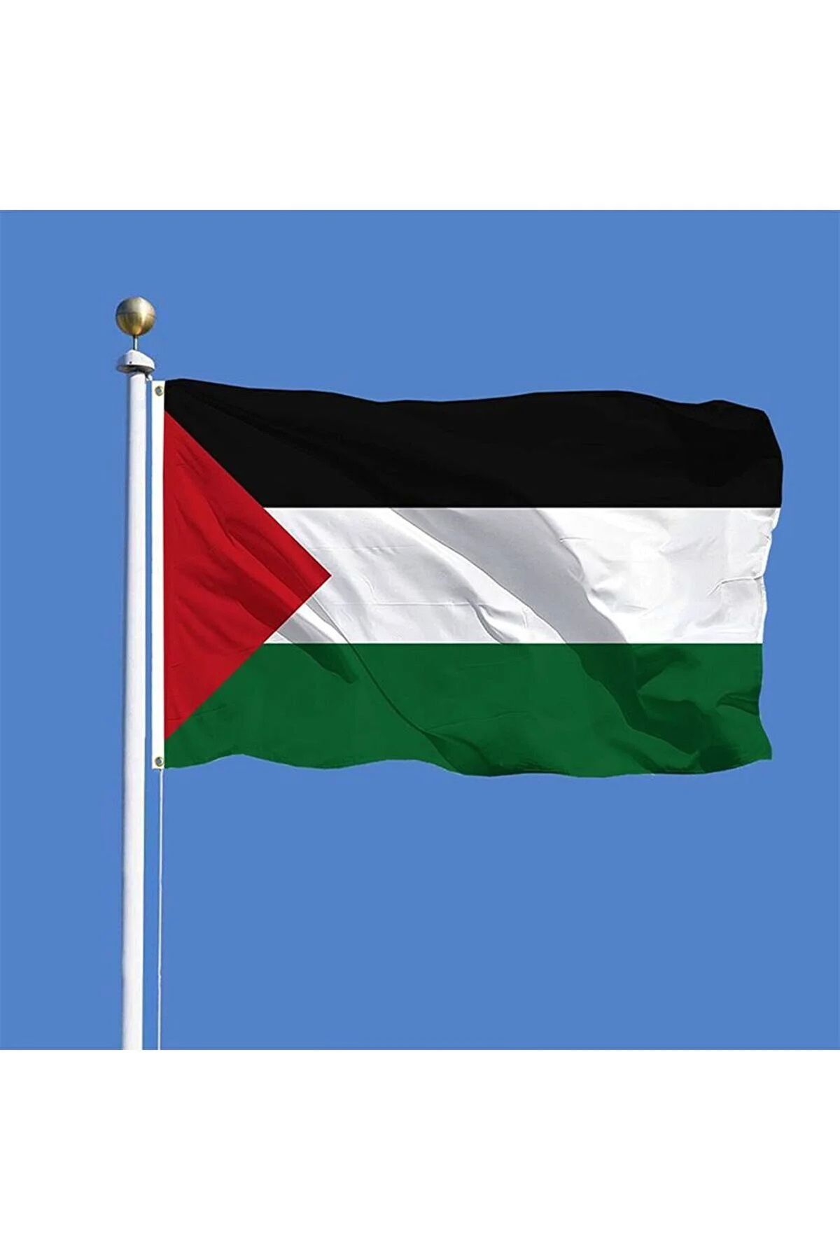 Bayrak Online 100x150 Filistin Bayrağı