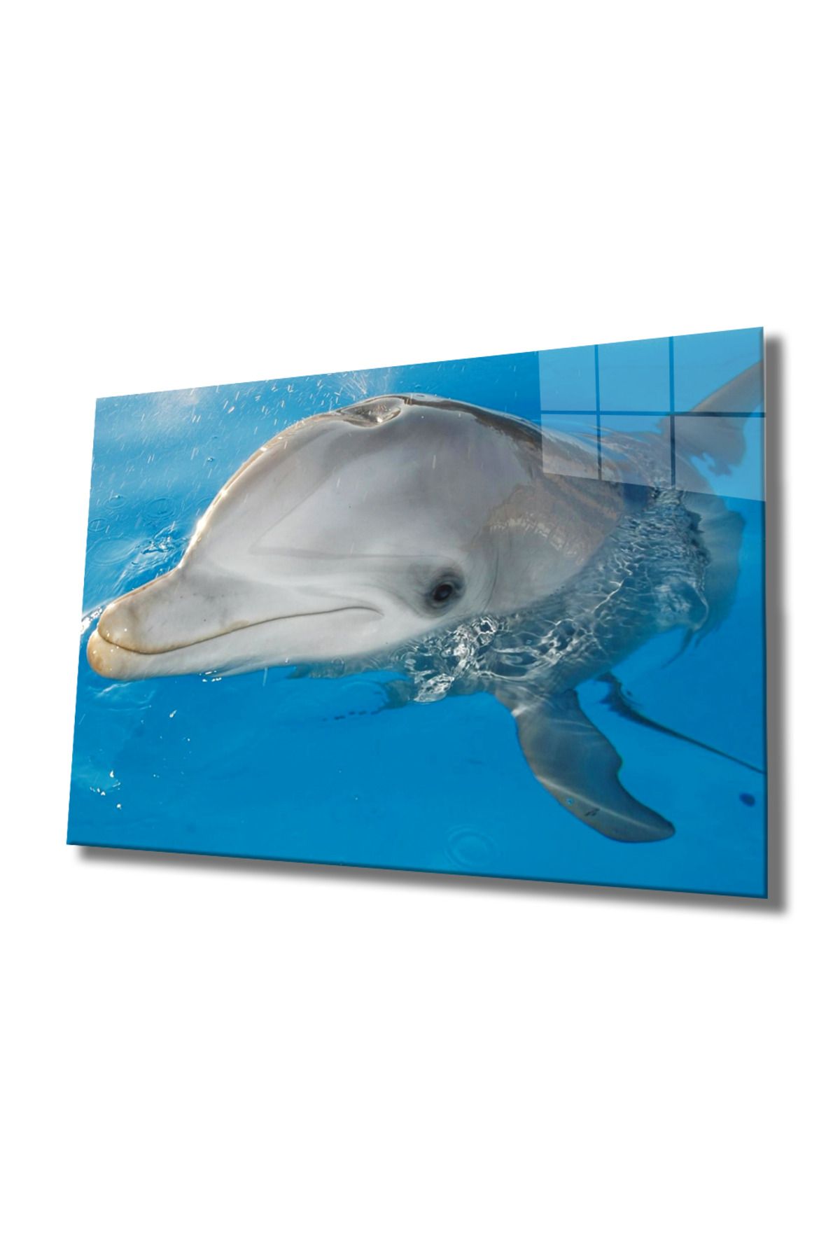 lunavisore Yunus Balığı Cam Tablo Dolphin