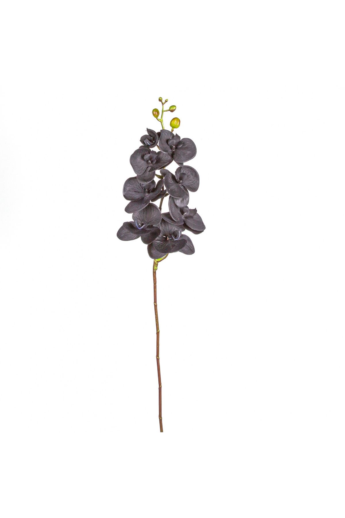 Herdekora Yapay Orkide Gerçek Dokunuş Siyah 104 Cm.
