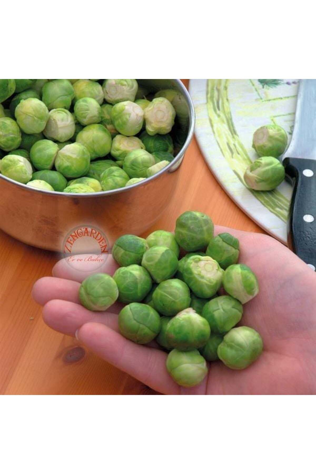 ZENGARDEN EV VE BAHÇE Erkenci brüksel lahanası tohumu brussel sprouts long island