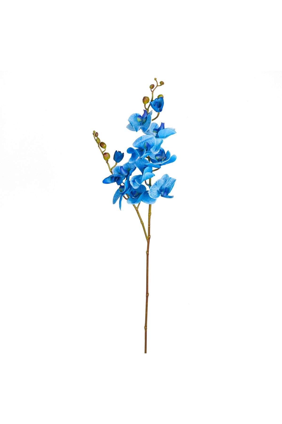 Herdekora Yapay Orkide Gerçek Dokunuş Mavi 104 Cm.