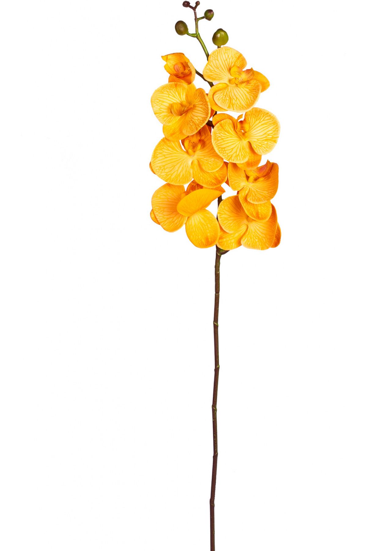 Herdekora Yapay Orkide Gerçek Dokunuş Hardal 104 Cm.
