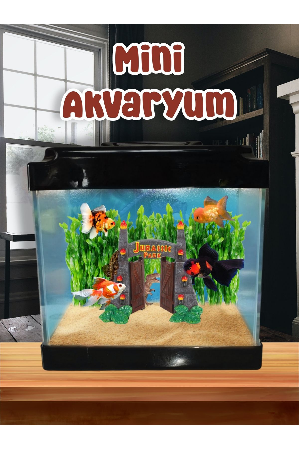MDİZMİR Mini Akvaryum Japon Balıgı Akvarium Yeni Üretim Akvaryum MDizmir Petshop Özel Üretim