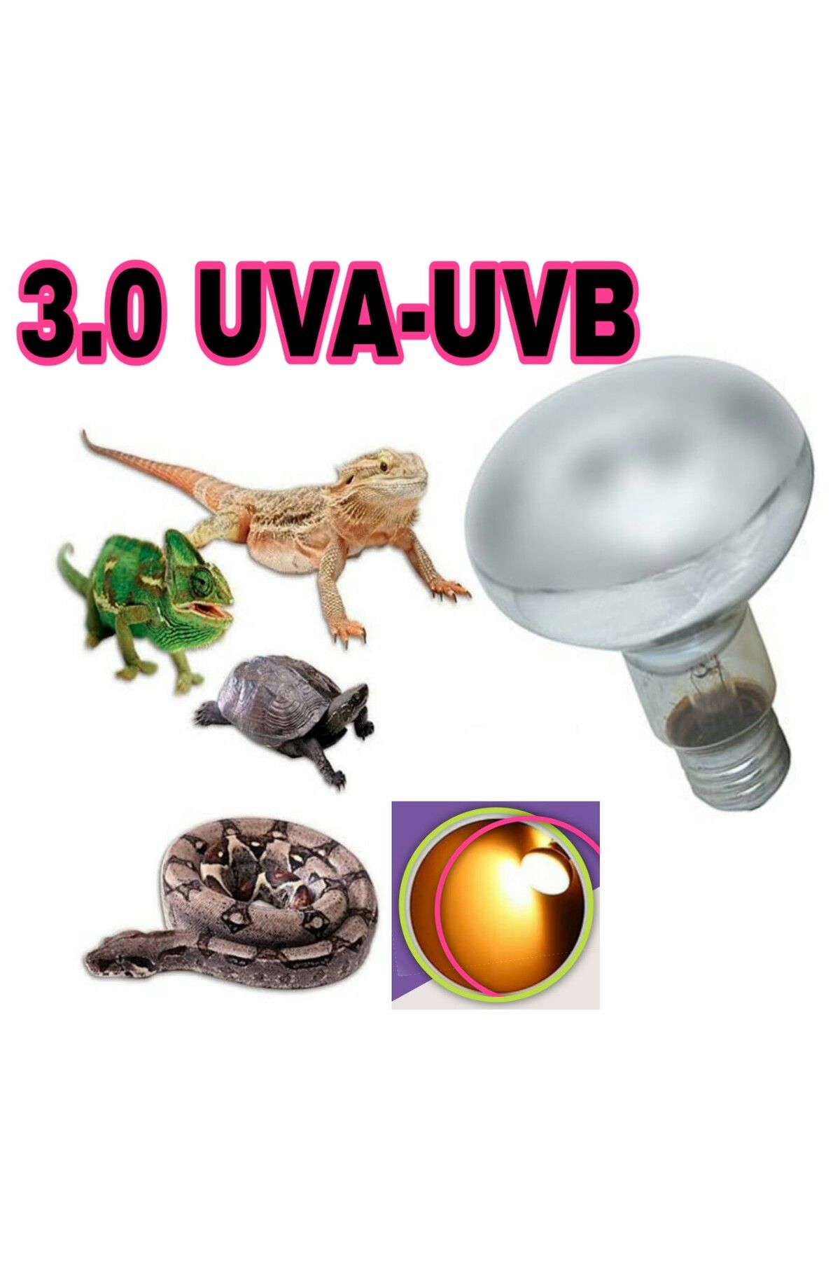 AKDEREPET UVA-UVB 3.0 SÜRÜNGEN ISITICI LAMBA 60 WATT R80