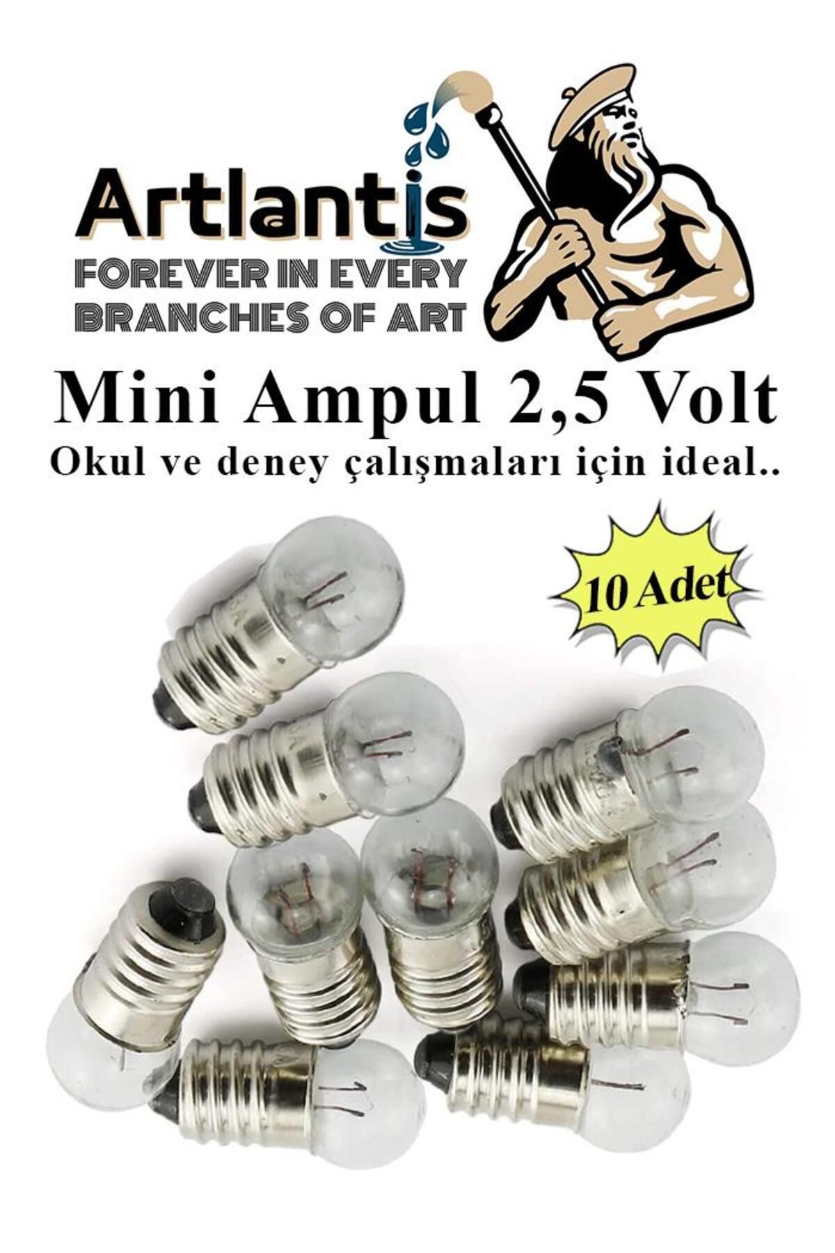 Artlantis Mini Ampul 2,5 Volt 10 Adet 1 Paket Küçük Elektrik Deney Ampulü 2.5 v Okul Sınıf Elektrik Devre Dene