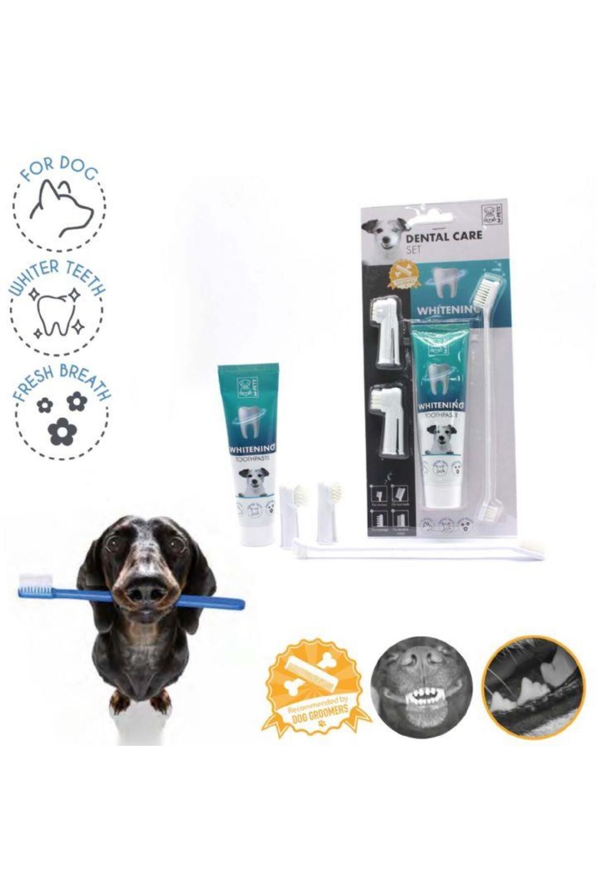 M-PETS 10122699 Köpekler Için Beyazlatıcı Diş Macunu Fırça Seti