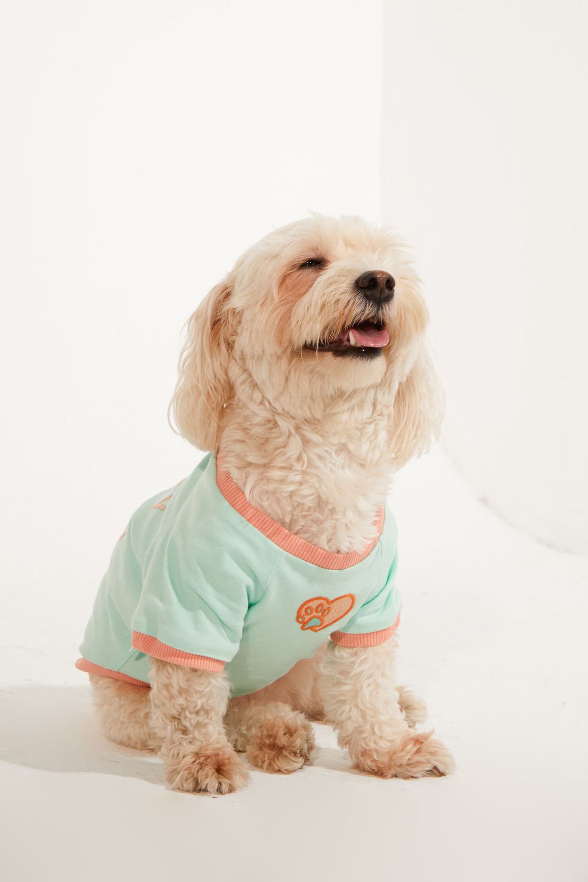 Lorico Köpek Kıyafeti - Köpek Tişört (%100 PAMUK)