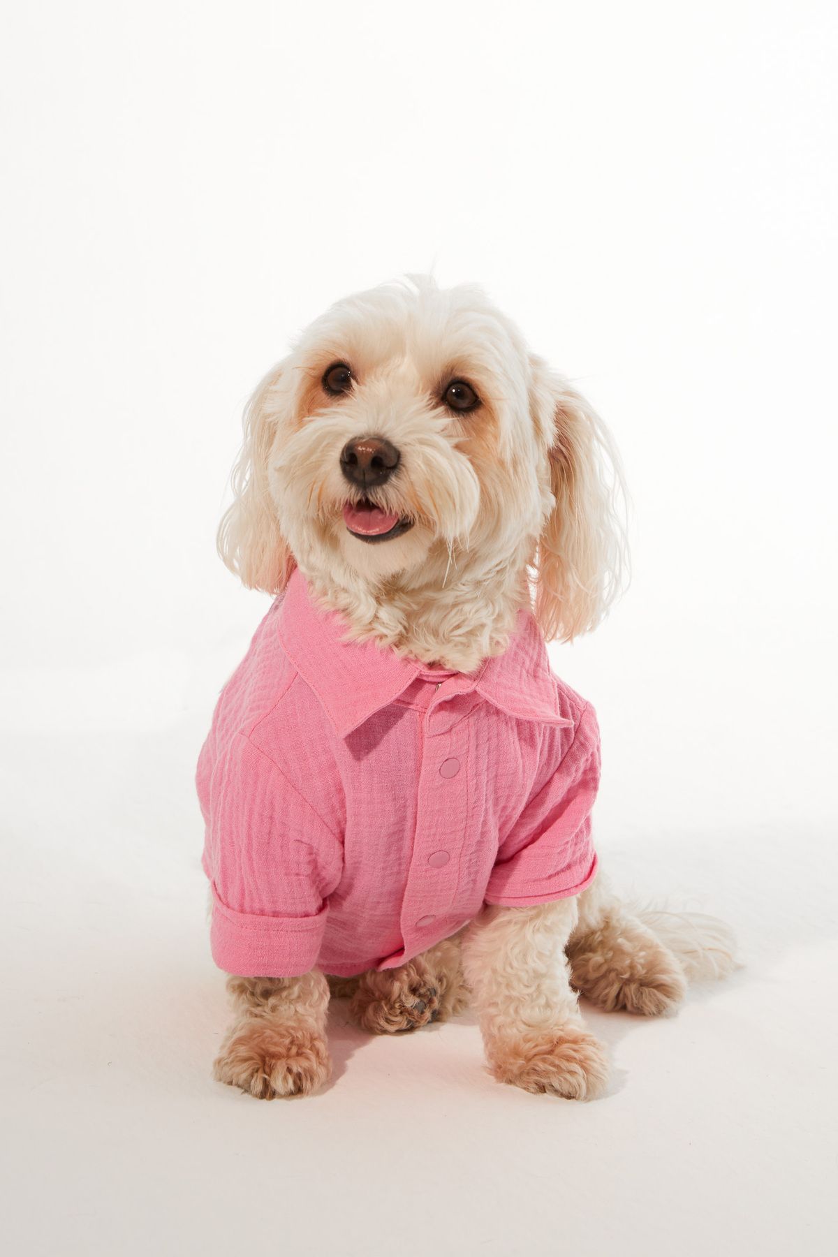 Lorico Köpek Kıyafeti - Köpek Gömlek (%100 PAMUK MÜSLİN)
