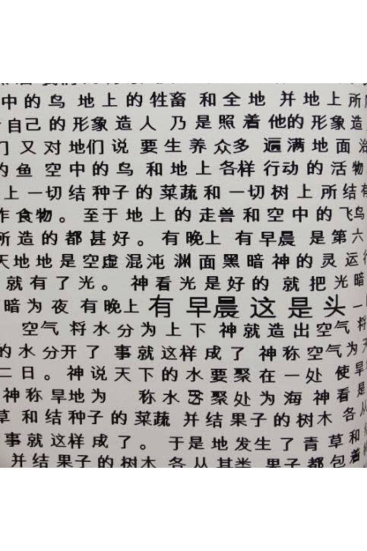 BAŞYAPI DİZAYN Çince Yazılı Ithal Duvar Kağıdı 11099909 (5m²)