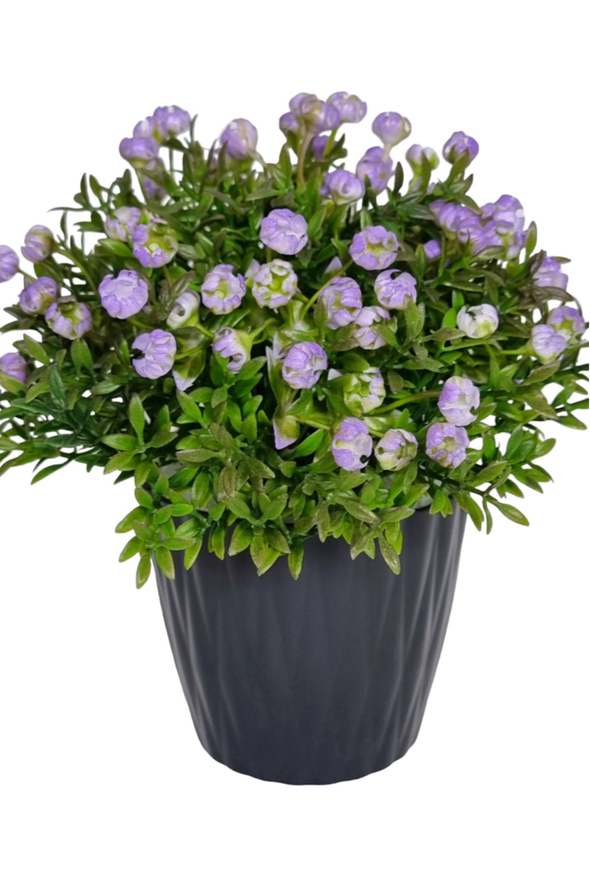 MD Aspiz Flowers 2 Adet Yapay Lüx Bonsai Ağaç Ortanca Cipso Pudralı Saksıda Sarkit Salon Bitki Yaprak Sarmaşık