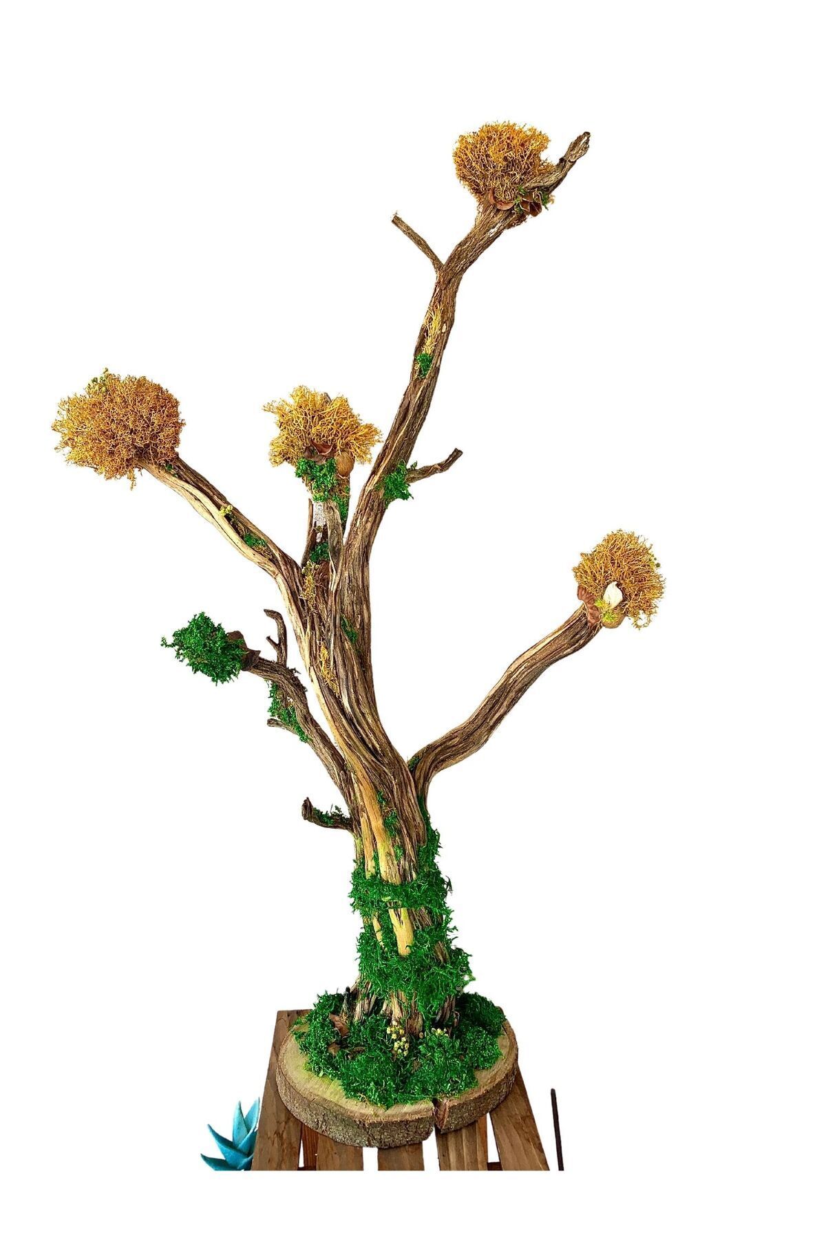 New Life Dekorasyon Ağaç Dalı Tasarım Şoklanmış Canlı Yosun Ev Dekorasyonu, Kara Yosunu, Çiçek süsleme Masa Dekoru