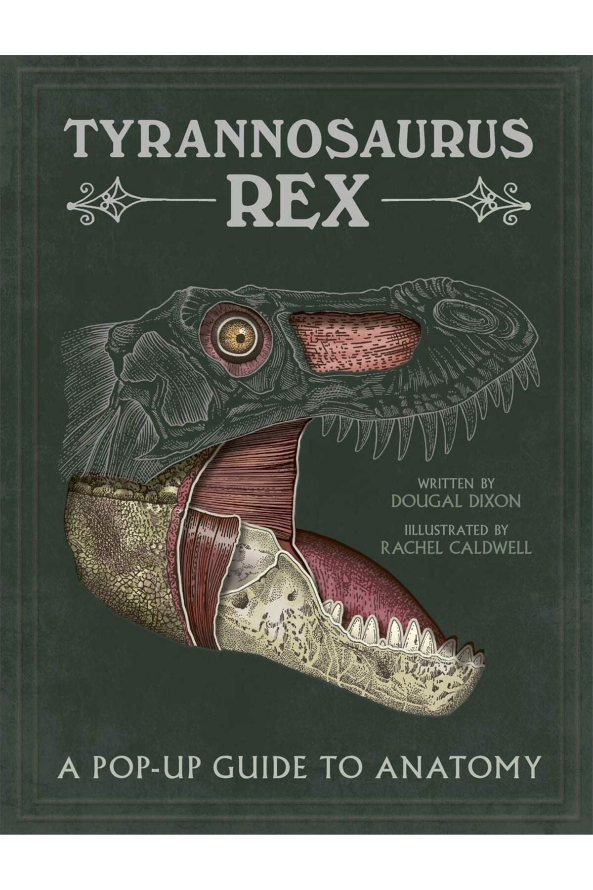 Kolektif Kitap Tyrannosaurus rex: A Pop-Up Guide to Anatomy