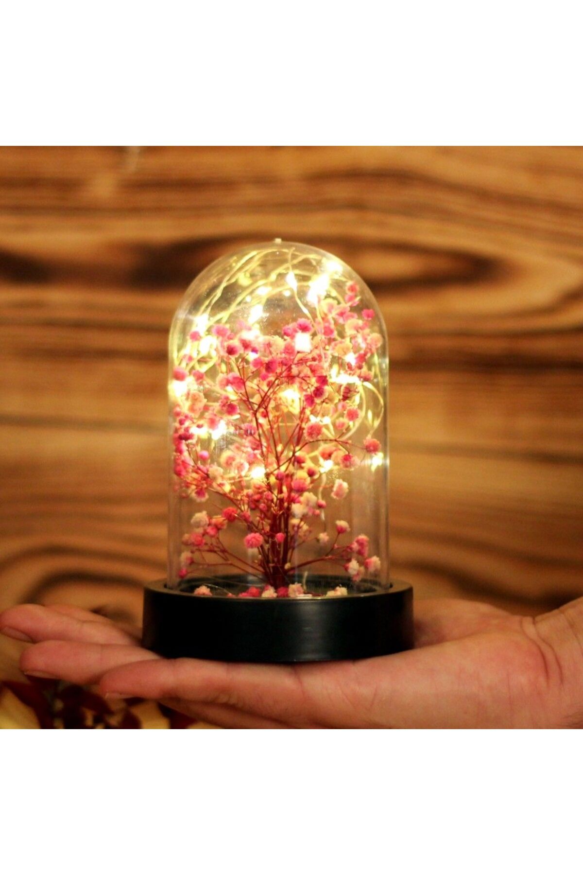 Alpgo Japon Kiraz Çiçeği Dekoratif Led Işıklı Mini Ağaç Fanus Teraryum