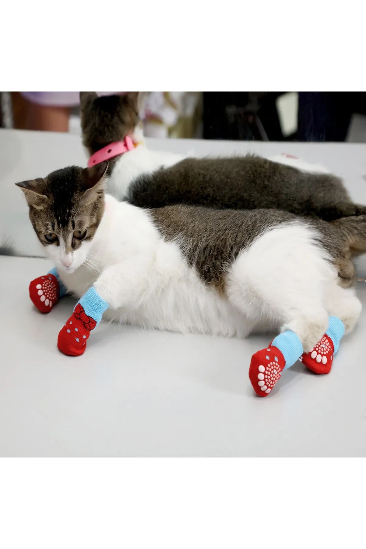 Matto home Kedi Köpek Kaydırmaz Örme Çorap Hediyeli Ürün