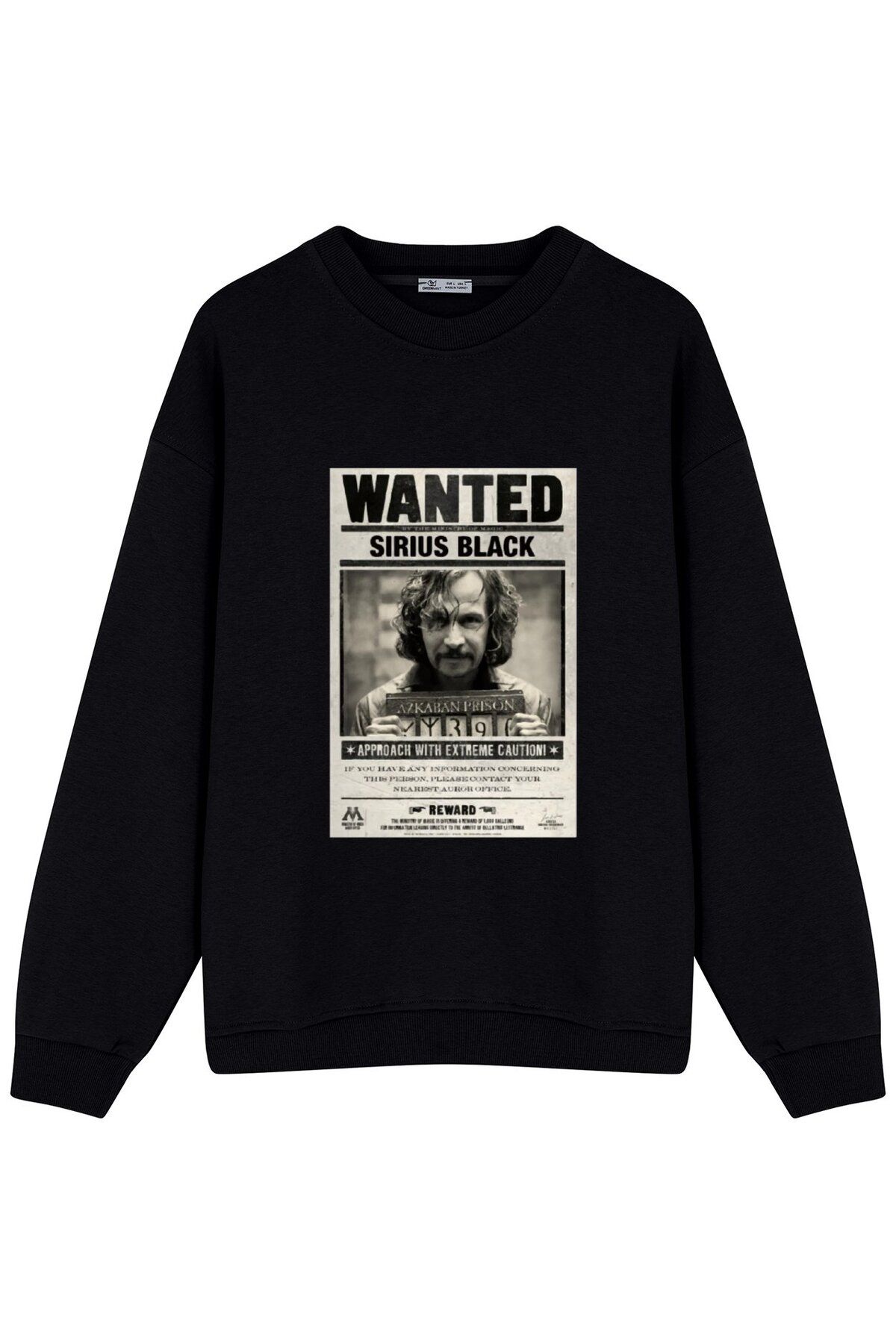 GreenMint Unisex Oversize Sweatshirt HARRY POTTER WANTED