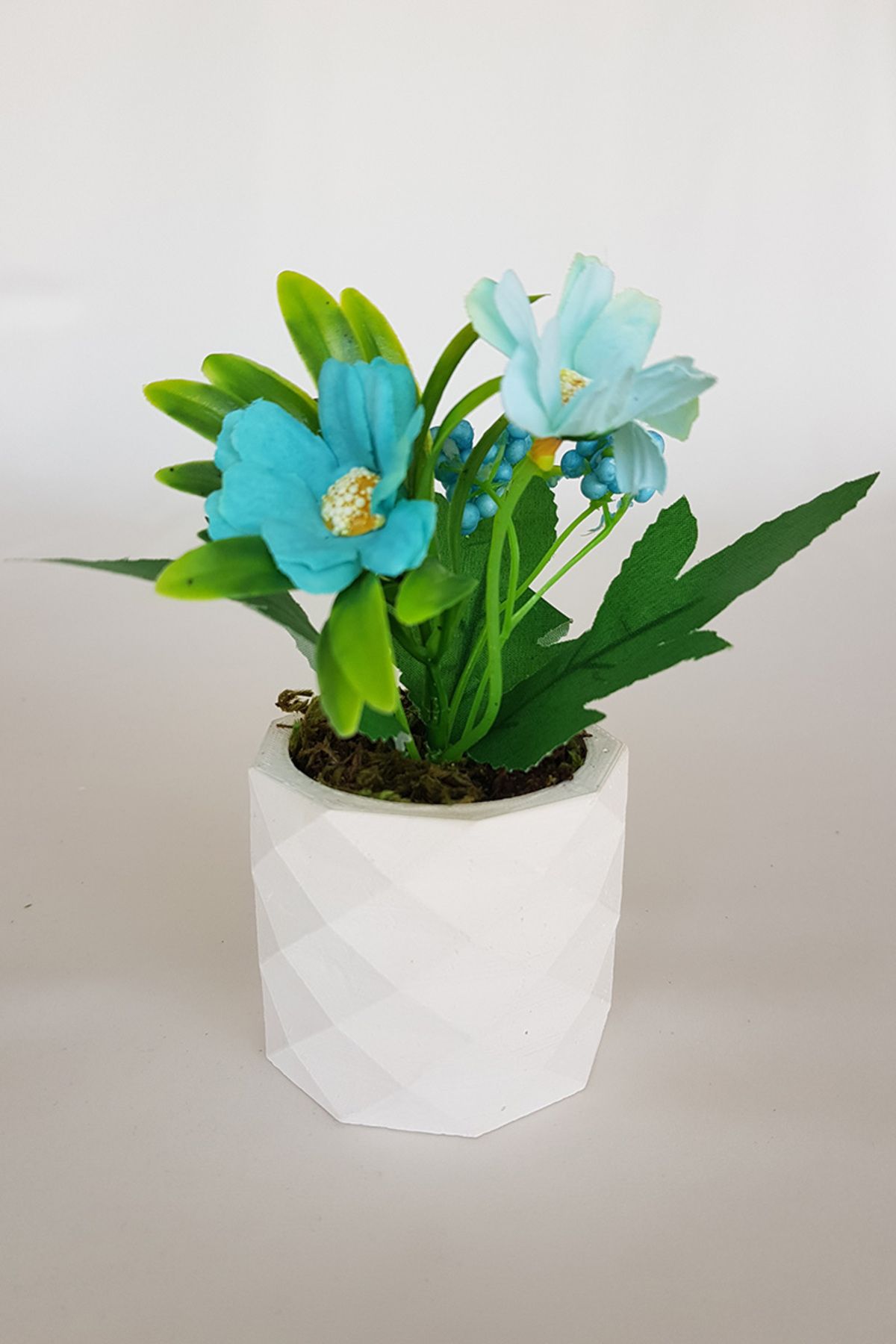 adresiburasi Beton Saksıda Anemon Masa Çiçeği Mavi