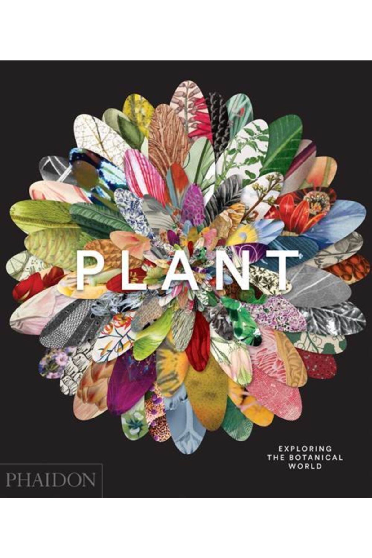 Arkadaş Yayıncılık Plant: Exploring The Botanical World