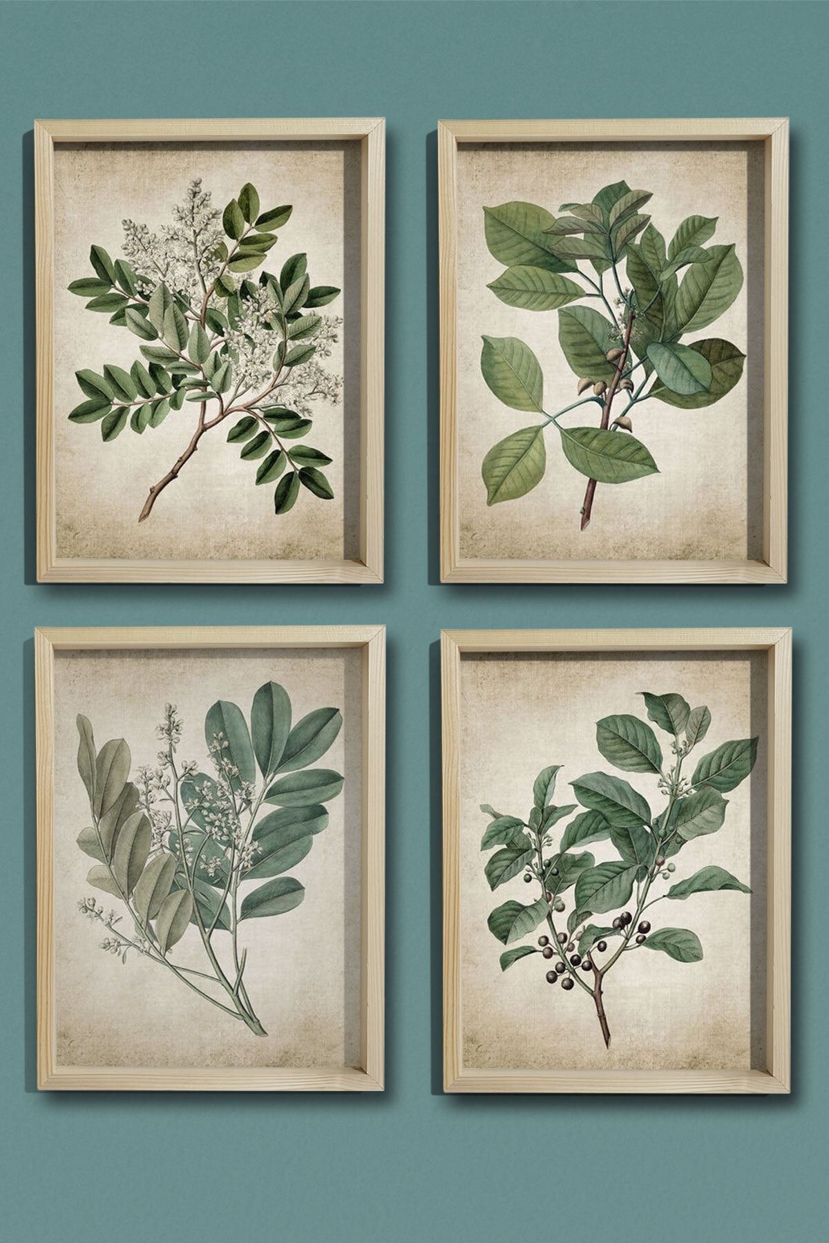 Canvartie Doğal Çam Çerçeveli Duvar Tablosu Antik Yeşil Bitkiler 4'lü Set