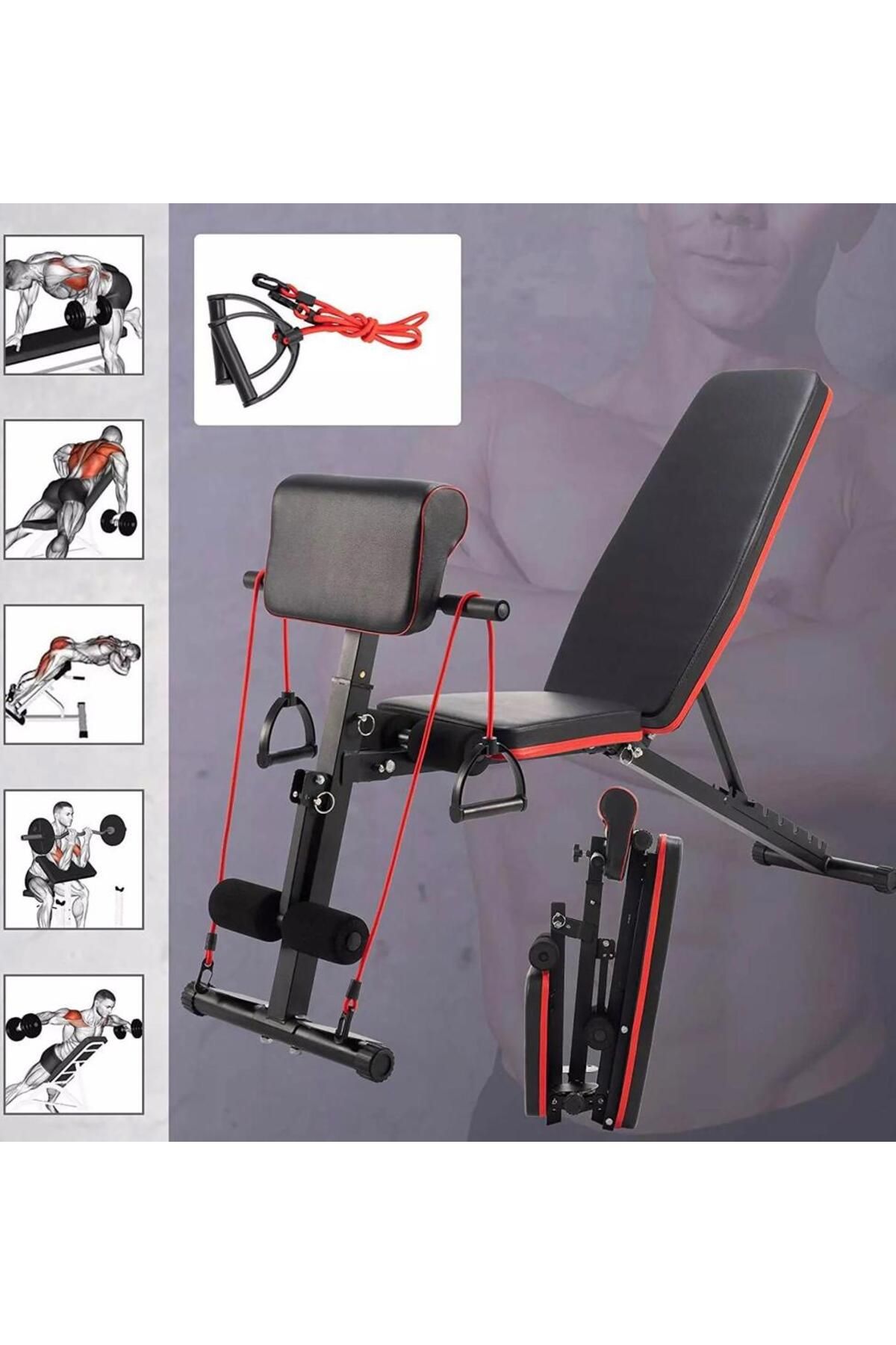 Clifton Multiposition & Biceps Combo Bench - Sehpa