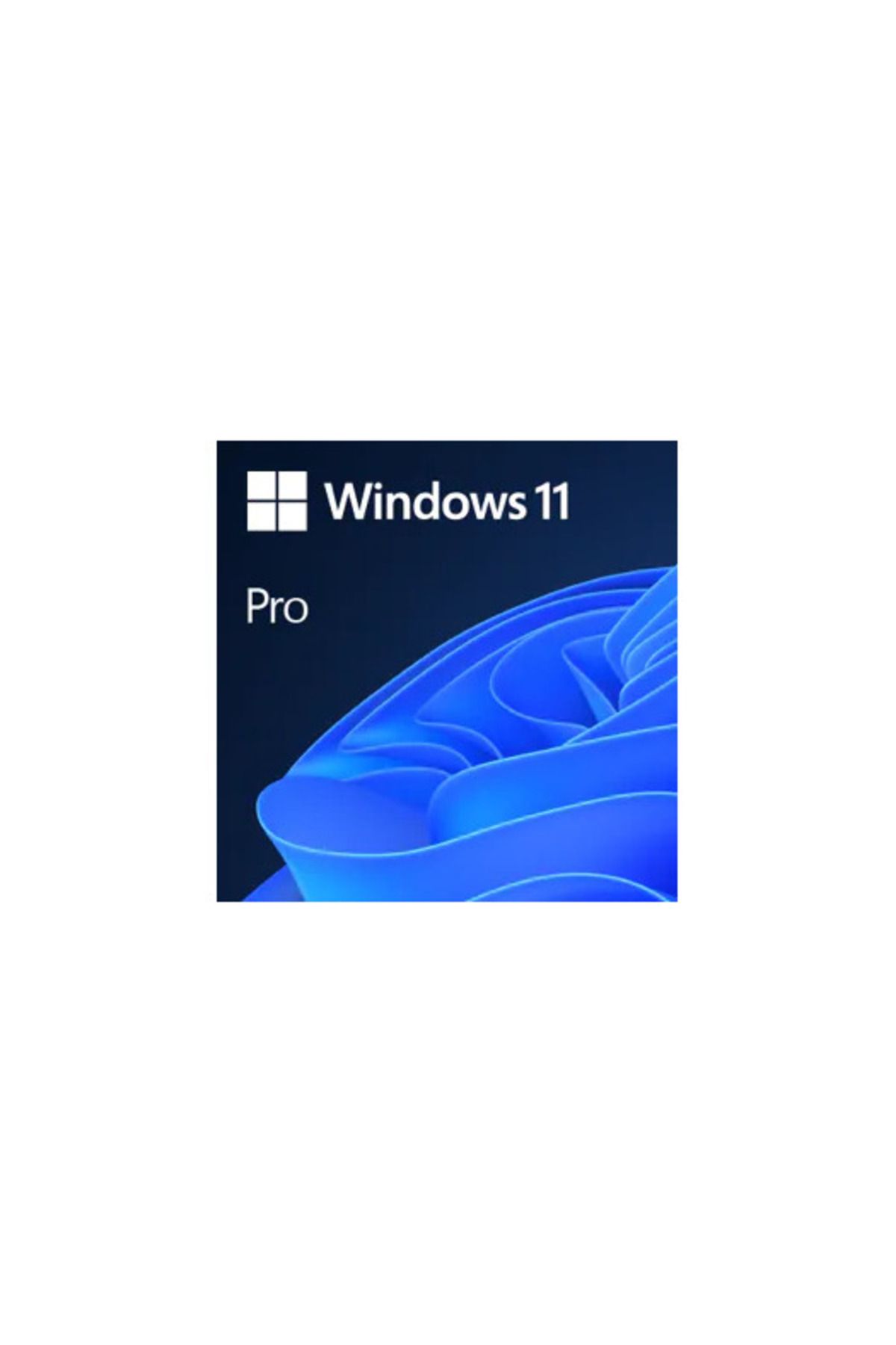 Microsoft Windows 11 Professional Elektronik Lisans