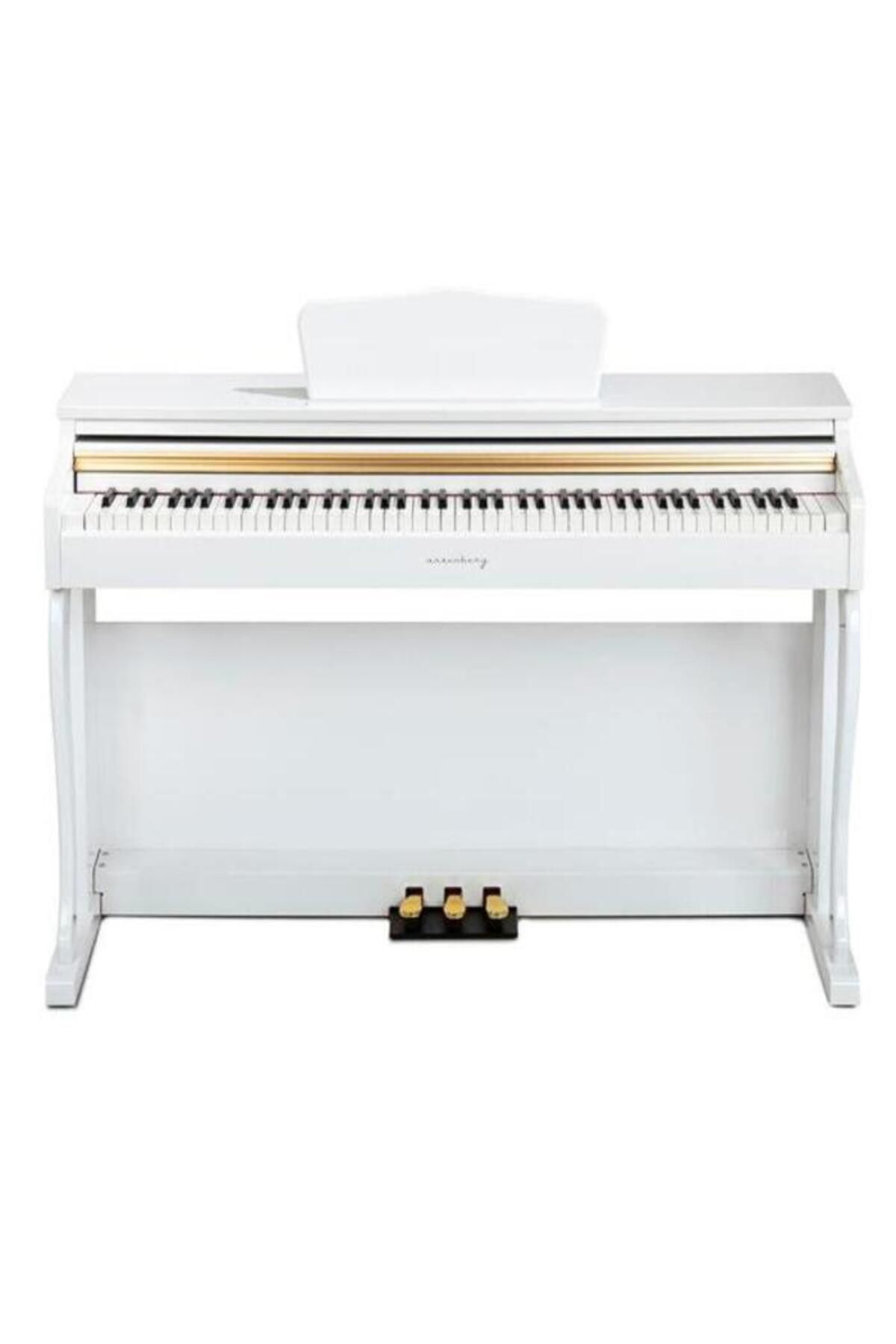 Arsenberg Piyano Adp1955