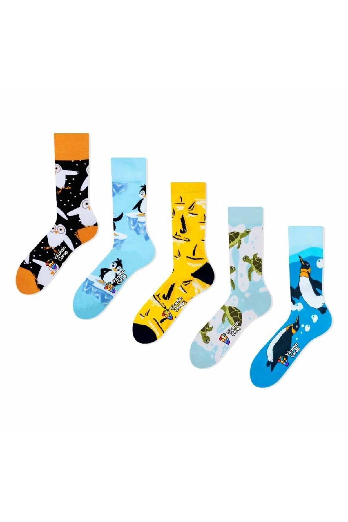 Limmon Store 5'li Penguen Renkli Çorap Set