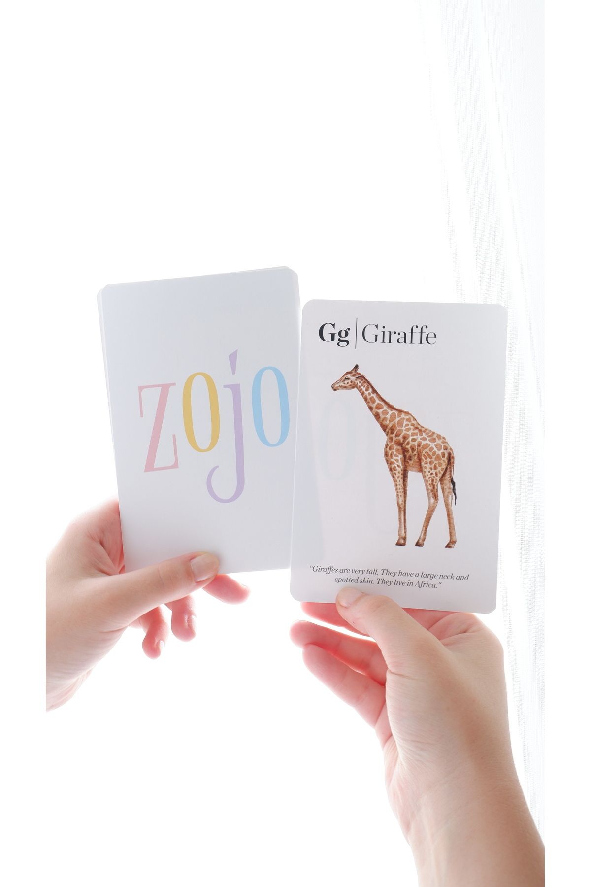 Zojo Çocuklar Için Eğlenceli Ingilizce Alfabe Kartları ( Hayvanlar) - Eğitici Çocuk Oyun Kartları