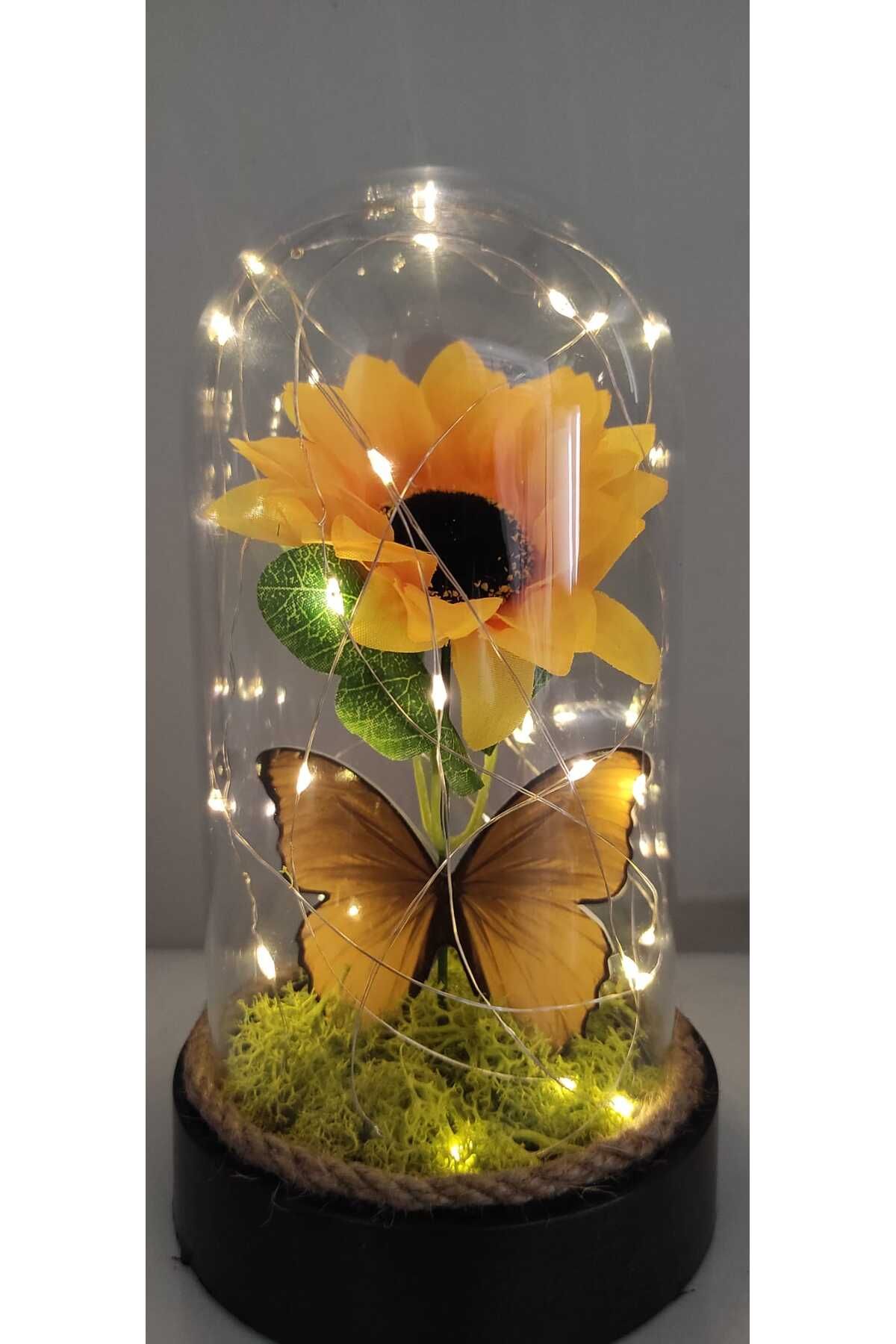 sternen glanz Kelebek Buketi Papatya Ayçiçeği Çiçekli Fanus Sevgiliye Anneye Öğretmene Hediye Işıklı Hediyelikler