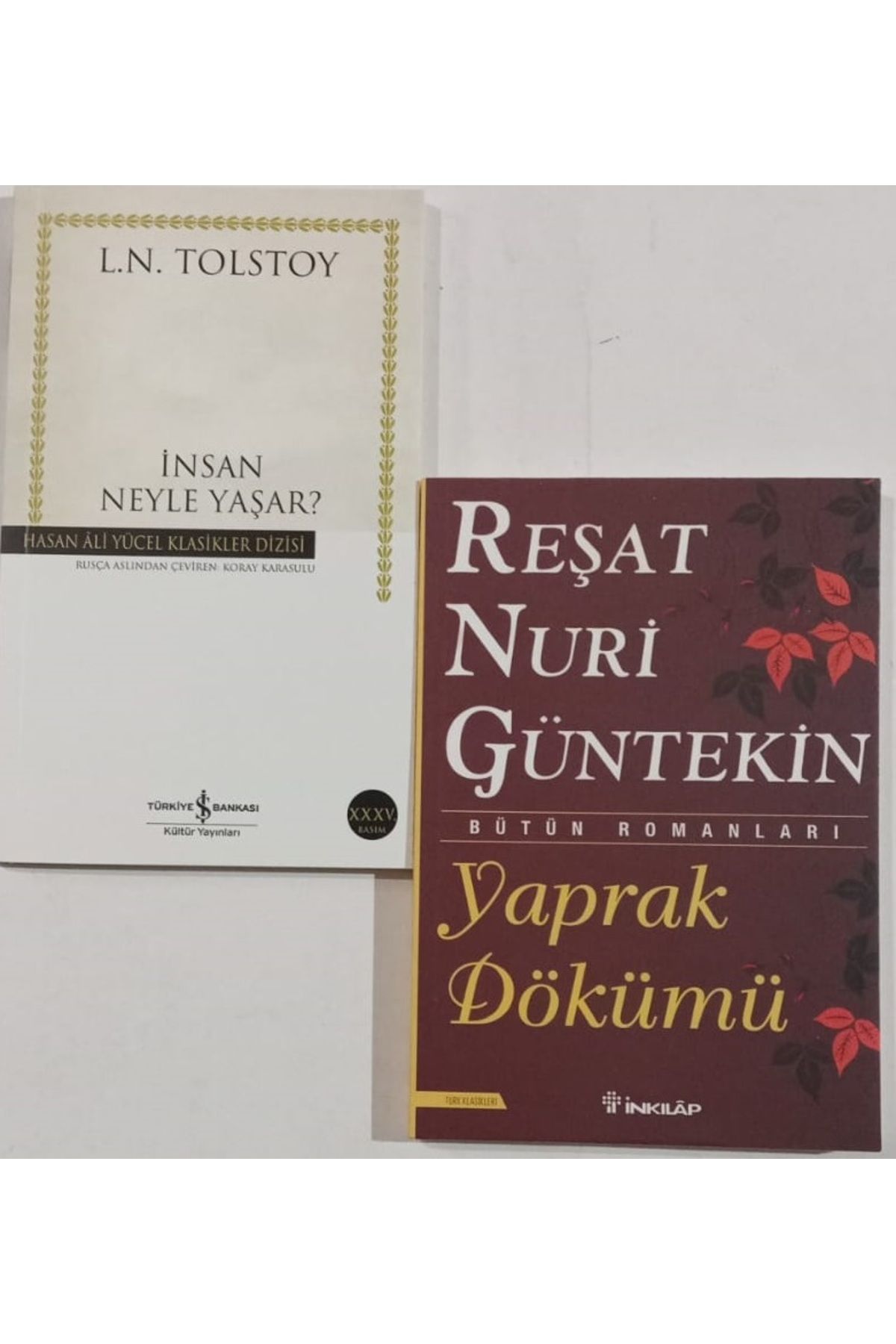 Türkiye İş Bankası Kültür Yayınları İnsan Neyle Yaşar (İş Bankası) + Yaprak Dökümü. 2 Kitap Set.