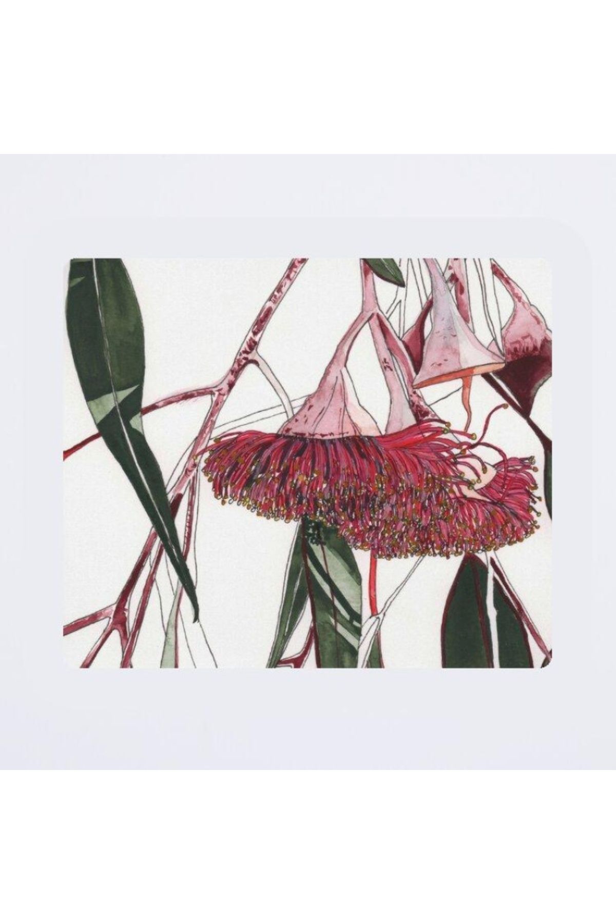w house Baskılı Mouse pad 000656 18X22/2mm Eucalyptus Flowering Gum Australian Flora pink