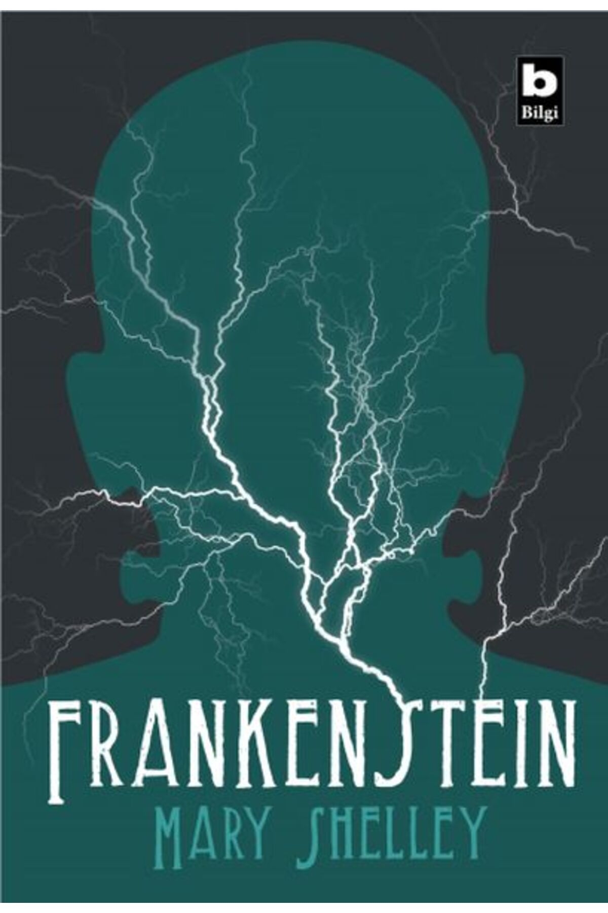 Bilgi Yayınları Frankenstein
