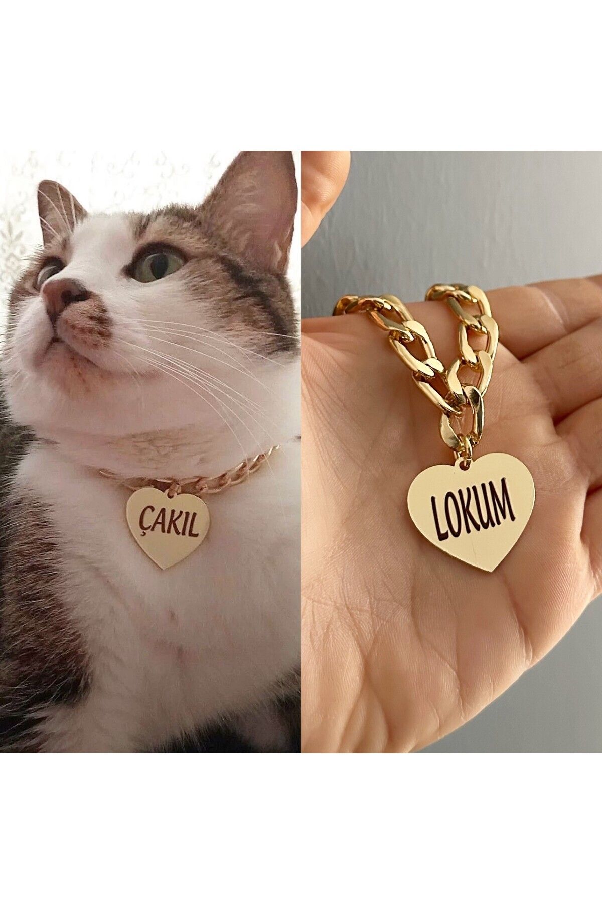 PETİSİM PET AKSESUARLARI Kedi Tasması Isimli Kedi Tasması Zincirli Tasma Paslanmaz Metal Künye