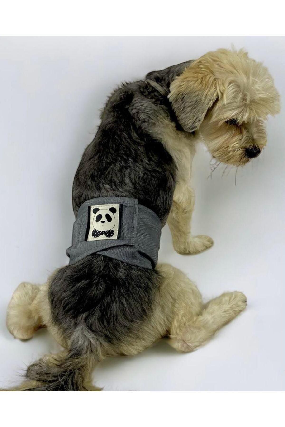 Kemique Köpek Çiş Bel Bandı Yıkanabilir Sızdırmaz Köpek Kıyafeti