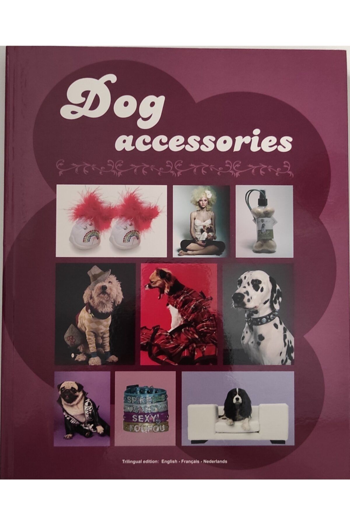 tectum yayınevi Pets Accessories İngilizce Kağıt Kapak