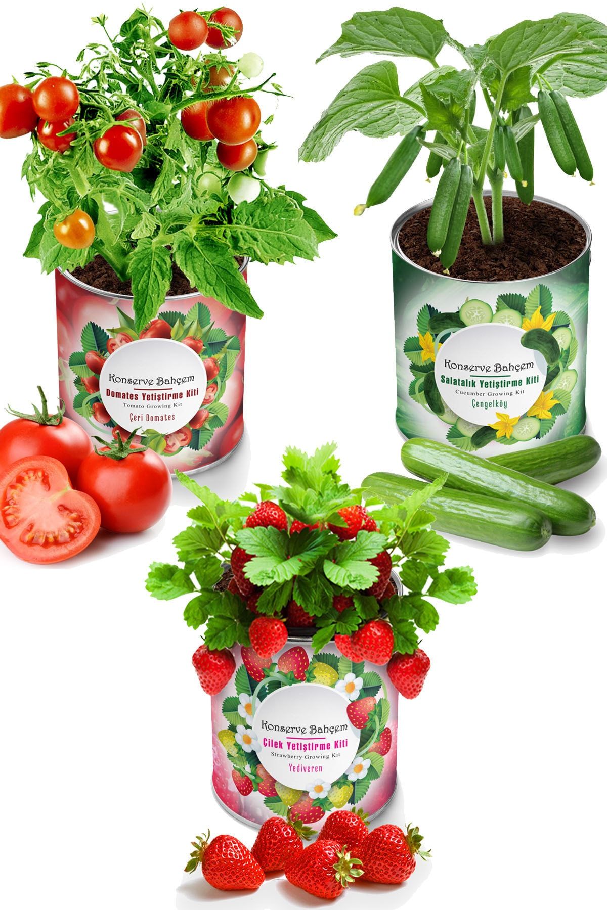 Konserve Bahçem Çilek Salatalık Domates 3 Adet Sebze Yetiştirme Kiti - Fide Sebze Tohum Ve Torf Seti