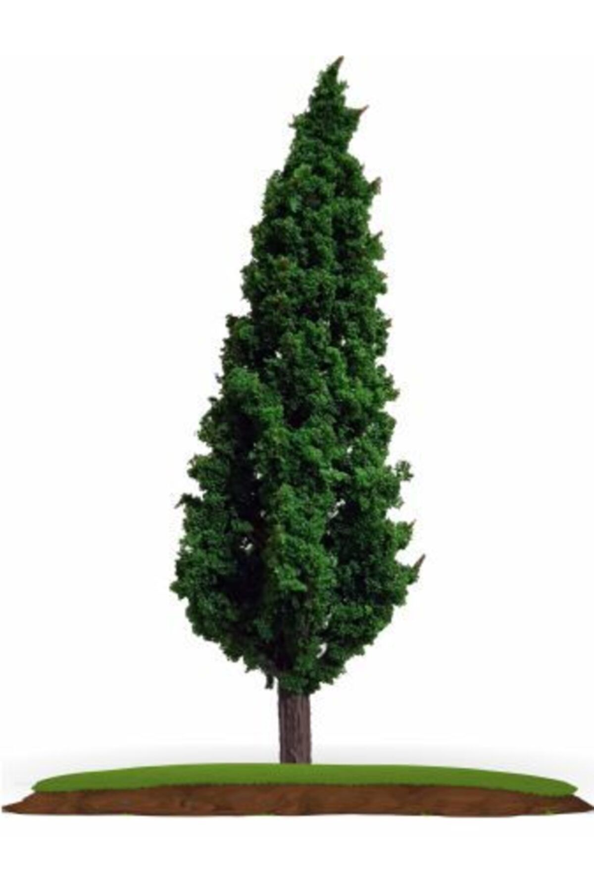 Vox Art 4'lü Maket Ağaç 1:100 Ölçek 6 Cm (vt1205b-6)