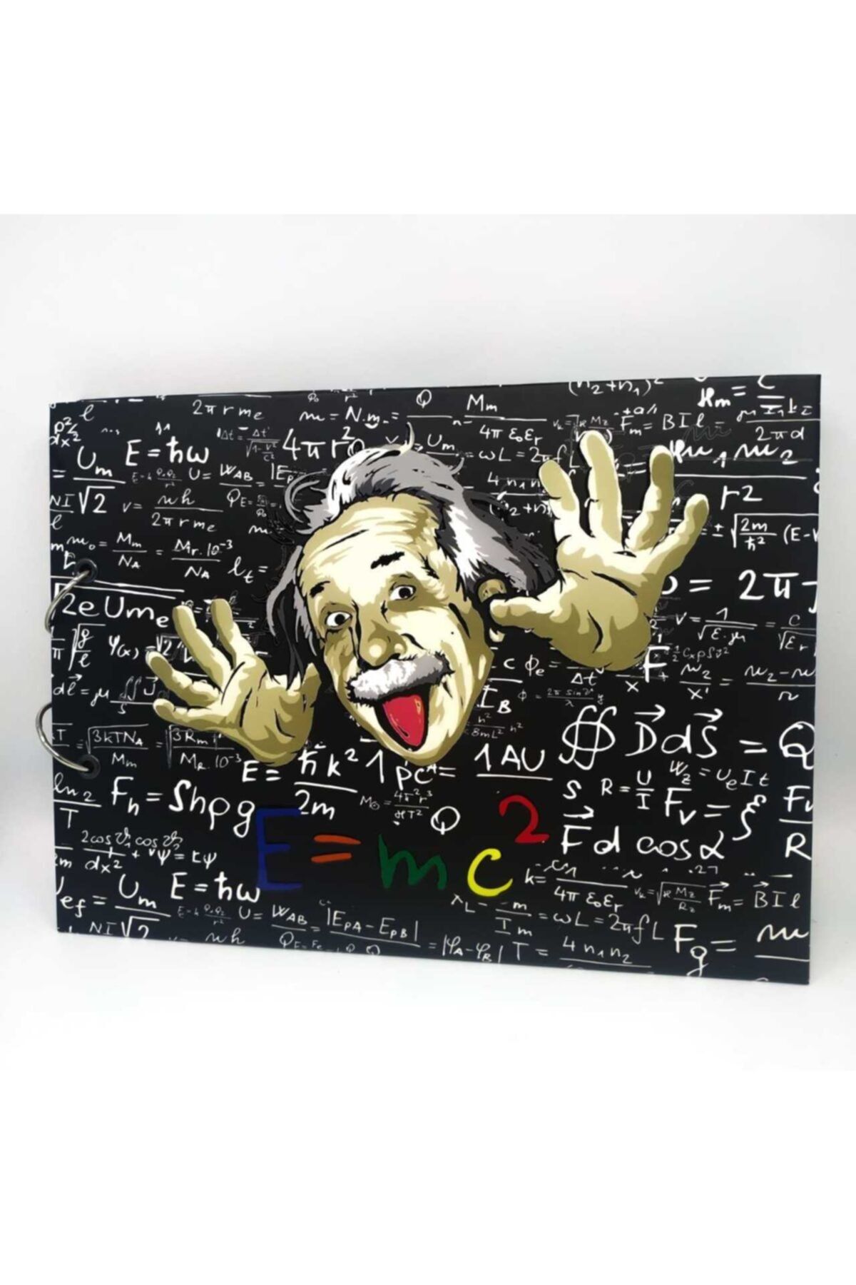 Köstebek Einstein Fotoğraf Albümü