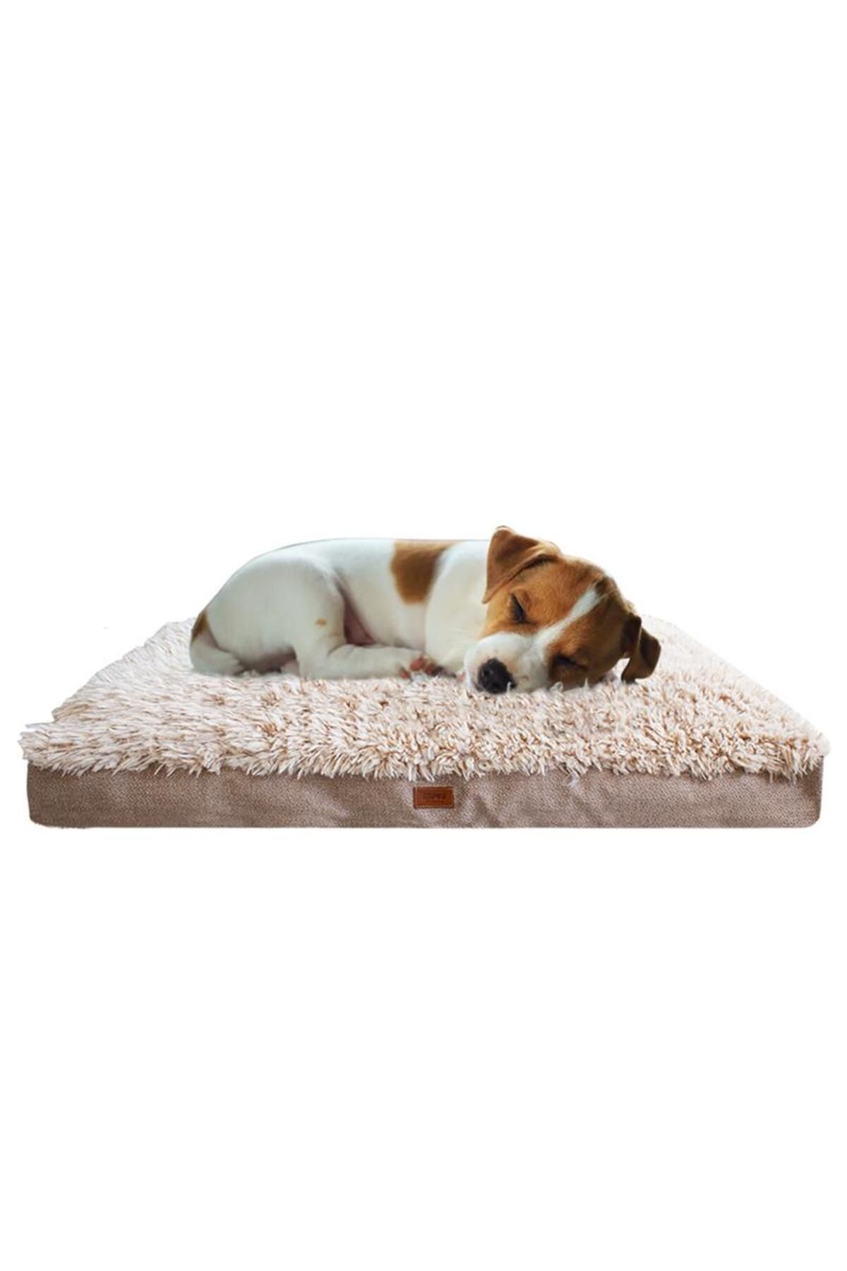 Lepus Pophidic Cushion Köpek Yatağı[S]