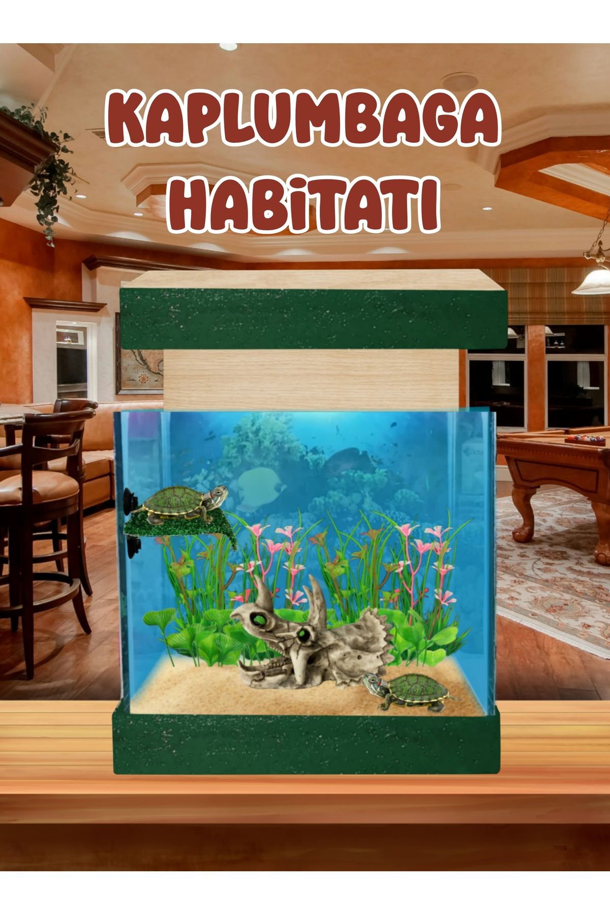 MDİZMİR Dinlenme Alanlı Ahşap Kaplumbaga Habidatı Su Kaplumbagası Habitat MDizmir Petshop