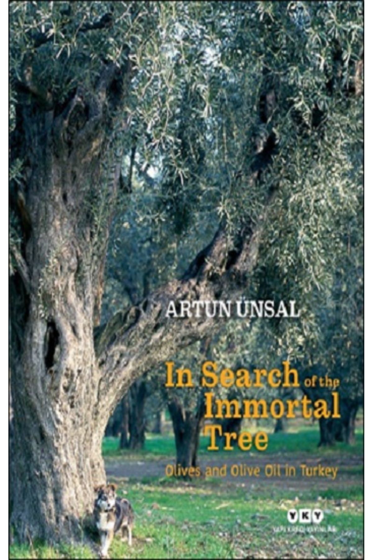 Yapı Kredi Yayınları In Search Of The Immortal Tree/ Olives and Olive Oil in Turkey (Ölmez Ağacın Peşinde) (Ciltli)