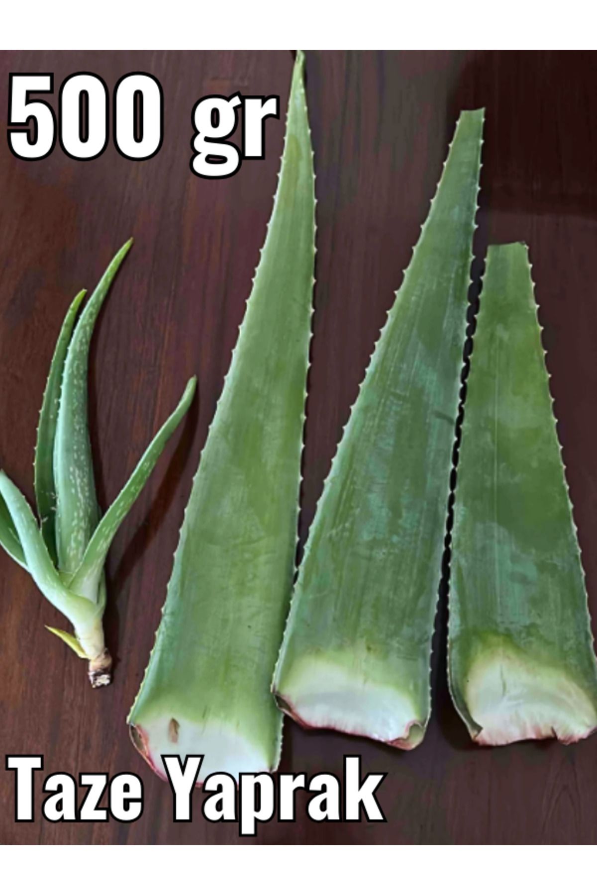 FidanBudur Aloe Vera Jel, Alovera Jel için 500 gr Aloe Vera Yaprak Doğal
