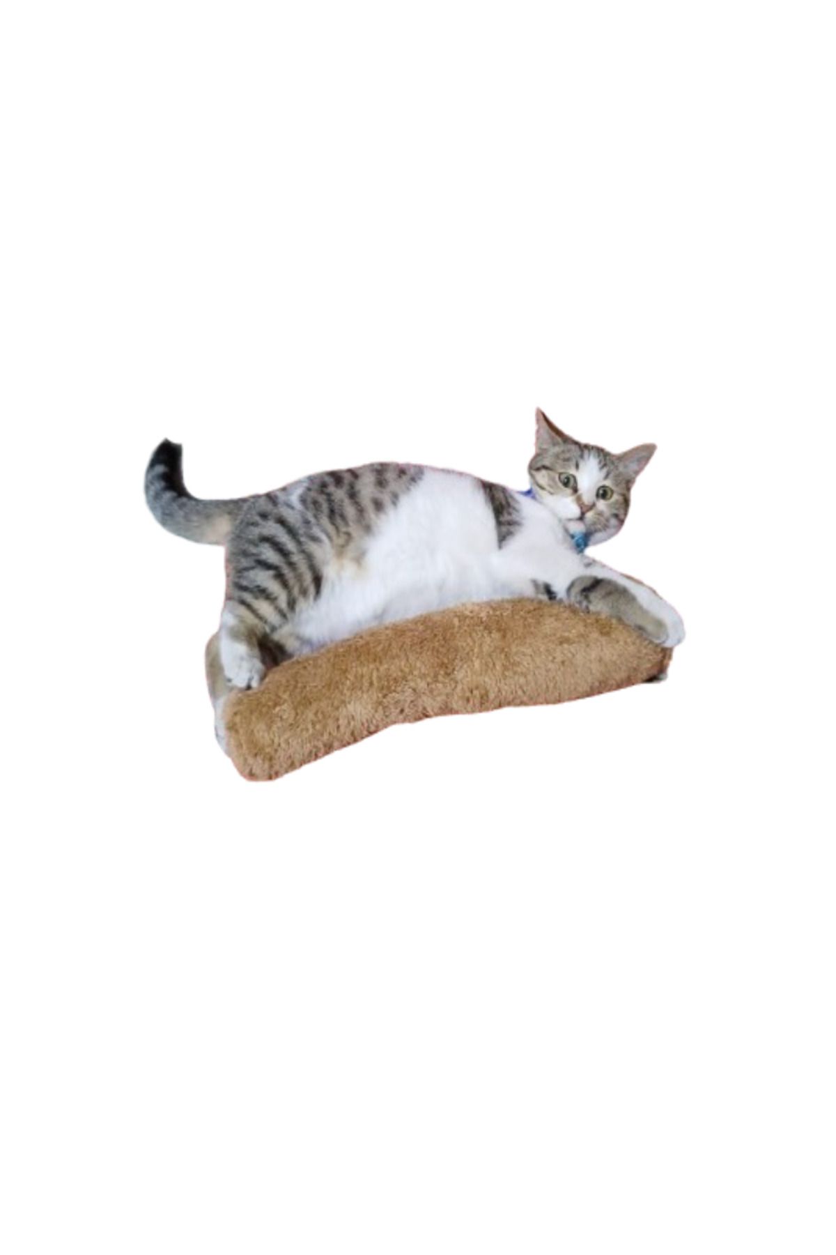TİNEKE Kedi Oyuncağı Sarılma Yastığı Uyku Oyuncağı Kedi Otlu 30 Cm Peluş ( 1 Adet ) Kahverengi