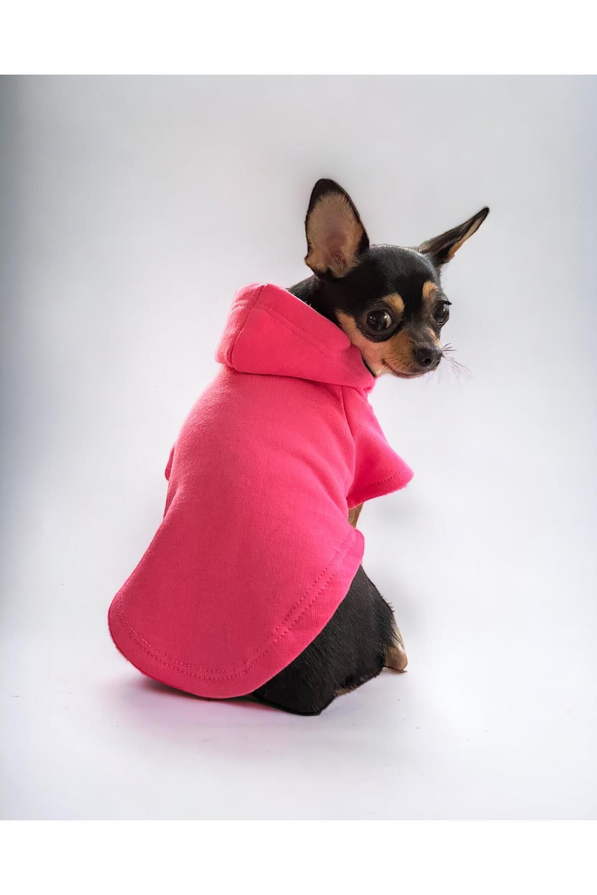 Paw Garage Pinker Köpek Sweatshirt, Hoodie, Köpek Kazağı, Köpek Kıyafeti