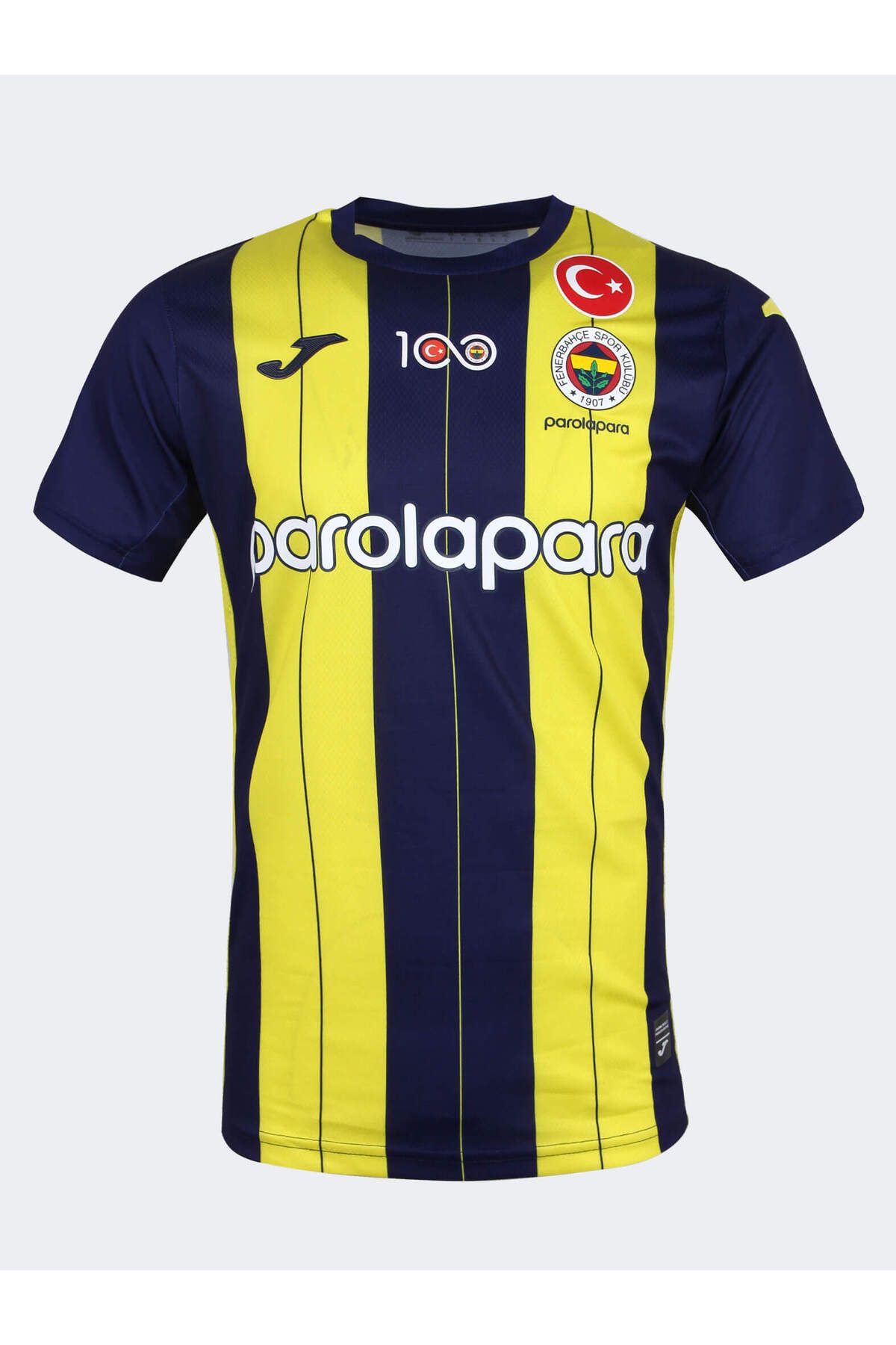 Fenerbahçe VOLEYBOL ERKEK ÇUBUKLU FORMA 23/24