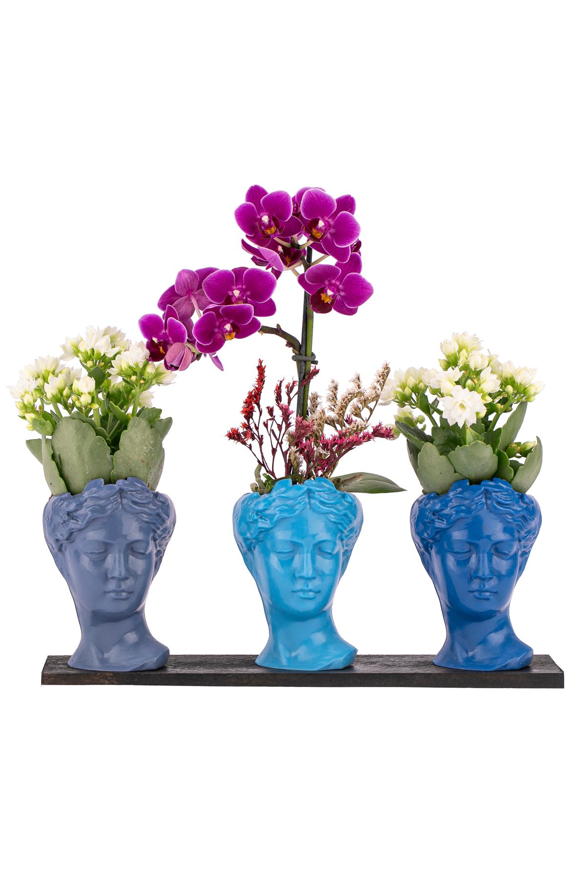 sakura flowers Trio Mini Helen Serisi Kalanchoe ve Tek Dal Orkide Tasarım - Blue Colors