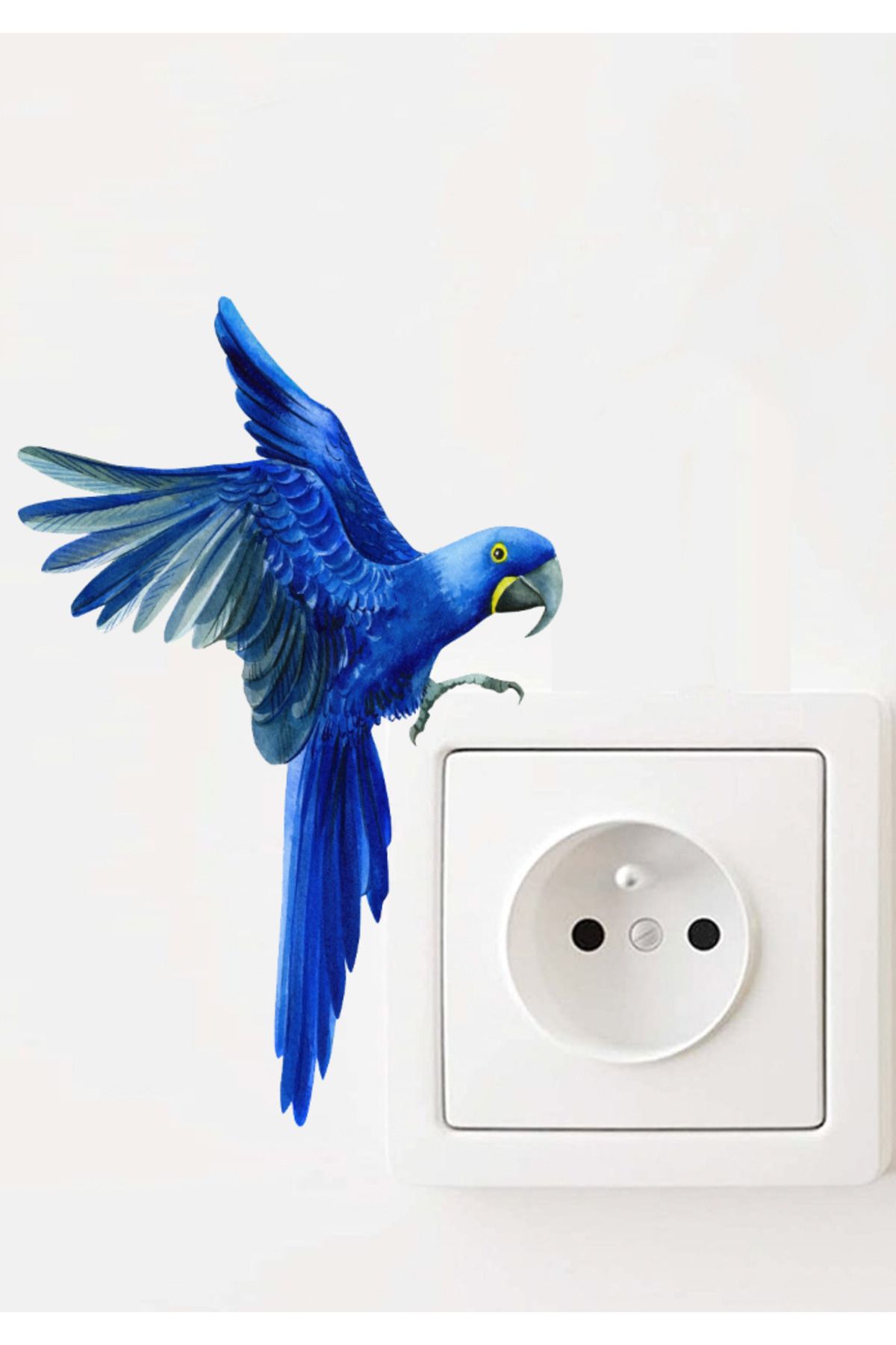 Sim Tasarım - Priz - Mavi Papağan Dekoratif Priz Sticker