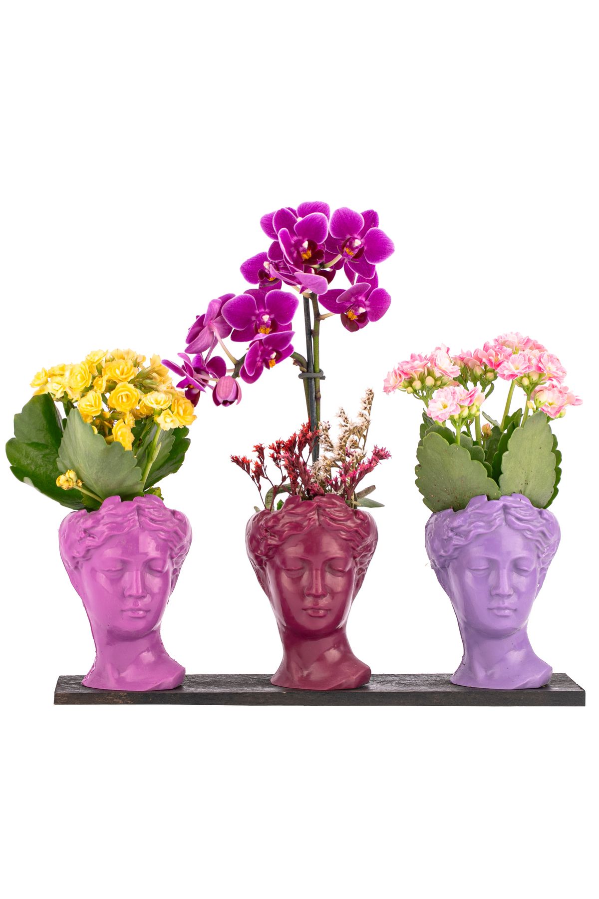 sakura flowers Trio Mini Helen Serisi Kalanchoe ve Tek Dal Orkide Tasarım - Pink Colors