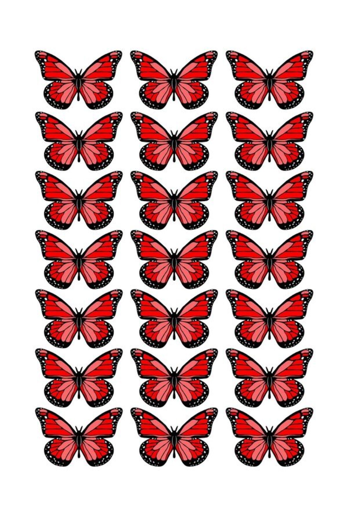 EyER Shoping Kelebek Buketi Için Parlak Kalın 200gr Fotoğraf Kağıdı Kırmızı