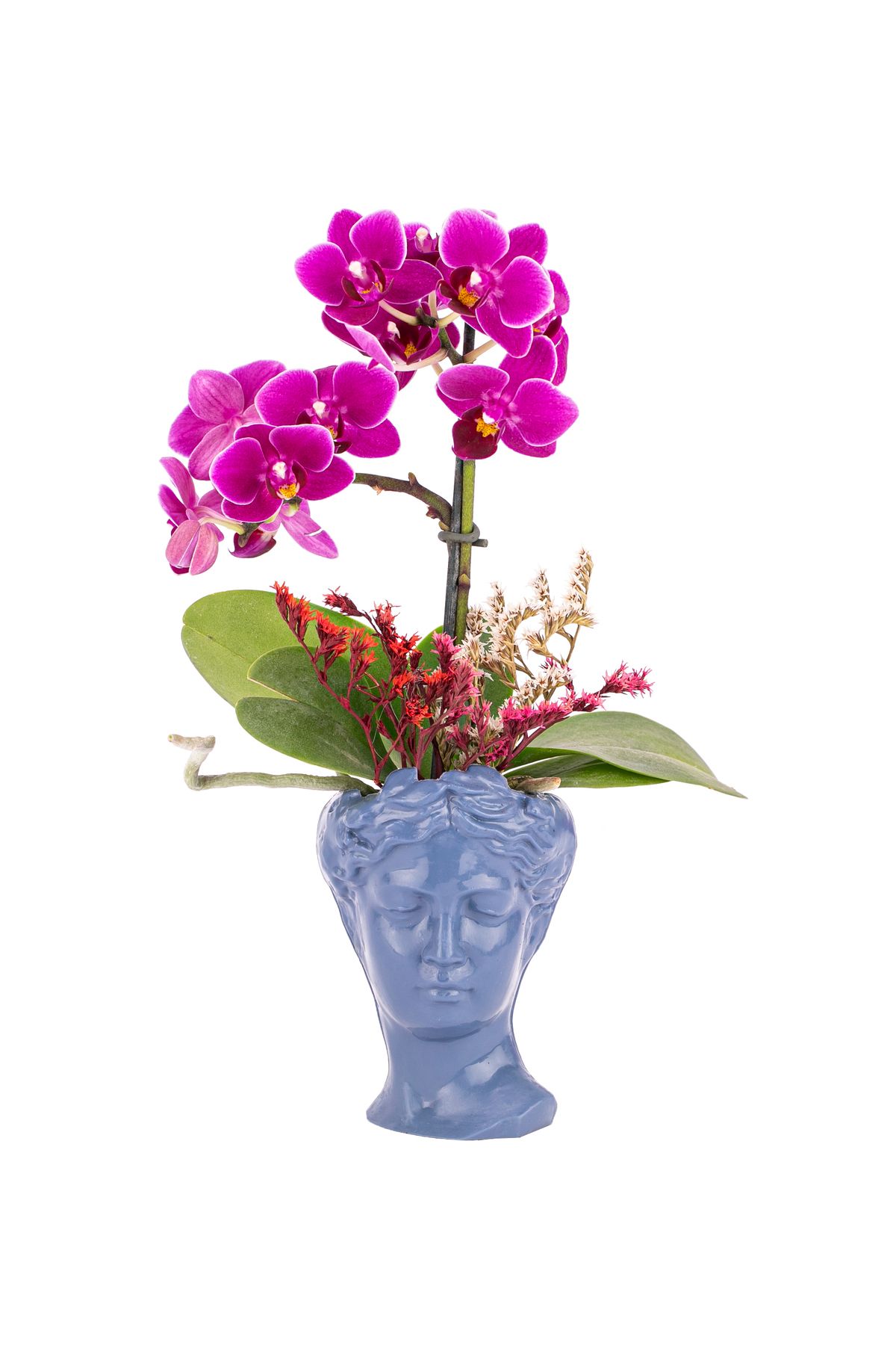 sakura flowers Mini Helen Serisi Tek Dal Orkide Tasarım - Azur Mavisi
