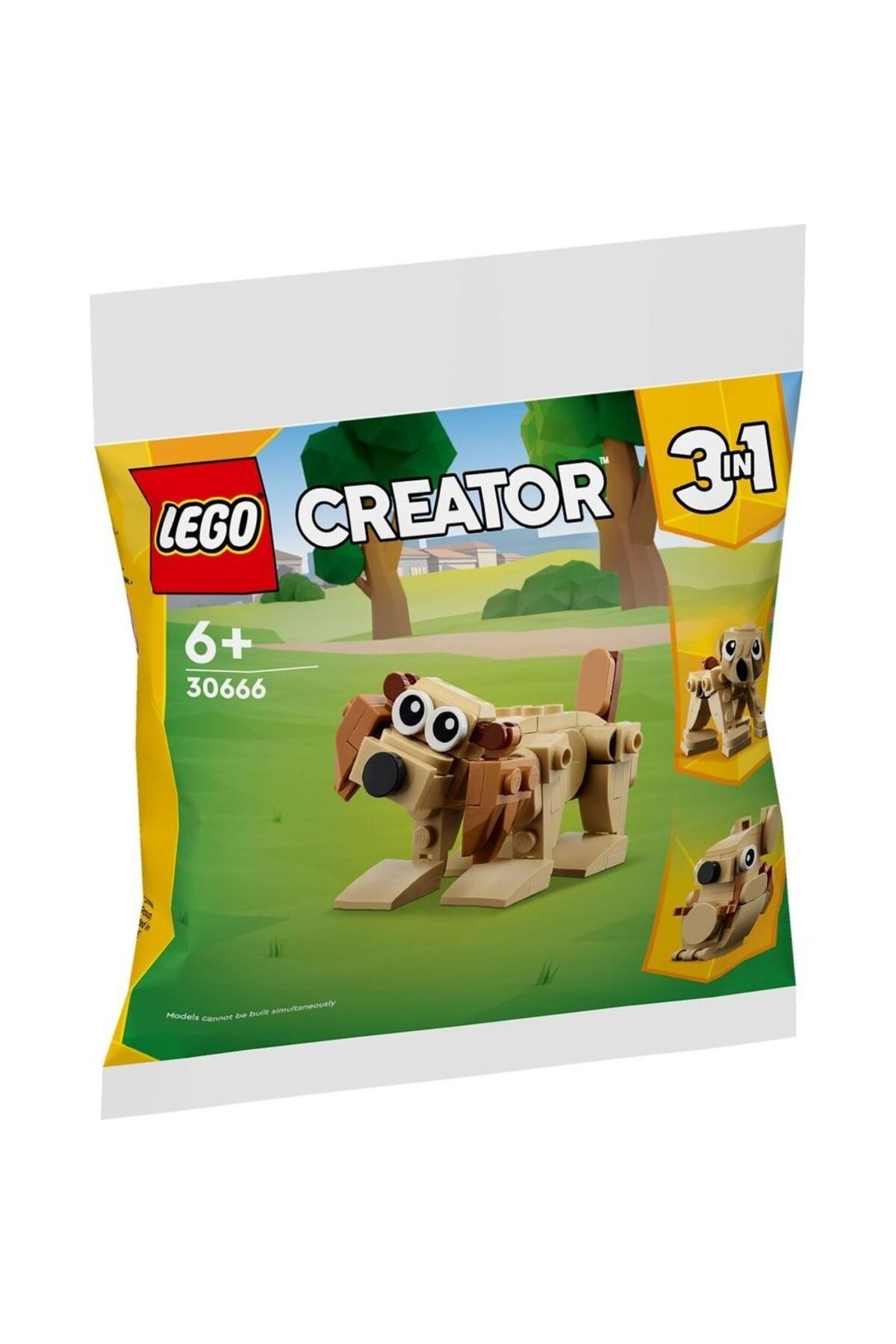 LEGO 30666 Creator 3 in 1 Gift Animals Polybag (75 Parça)